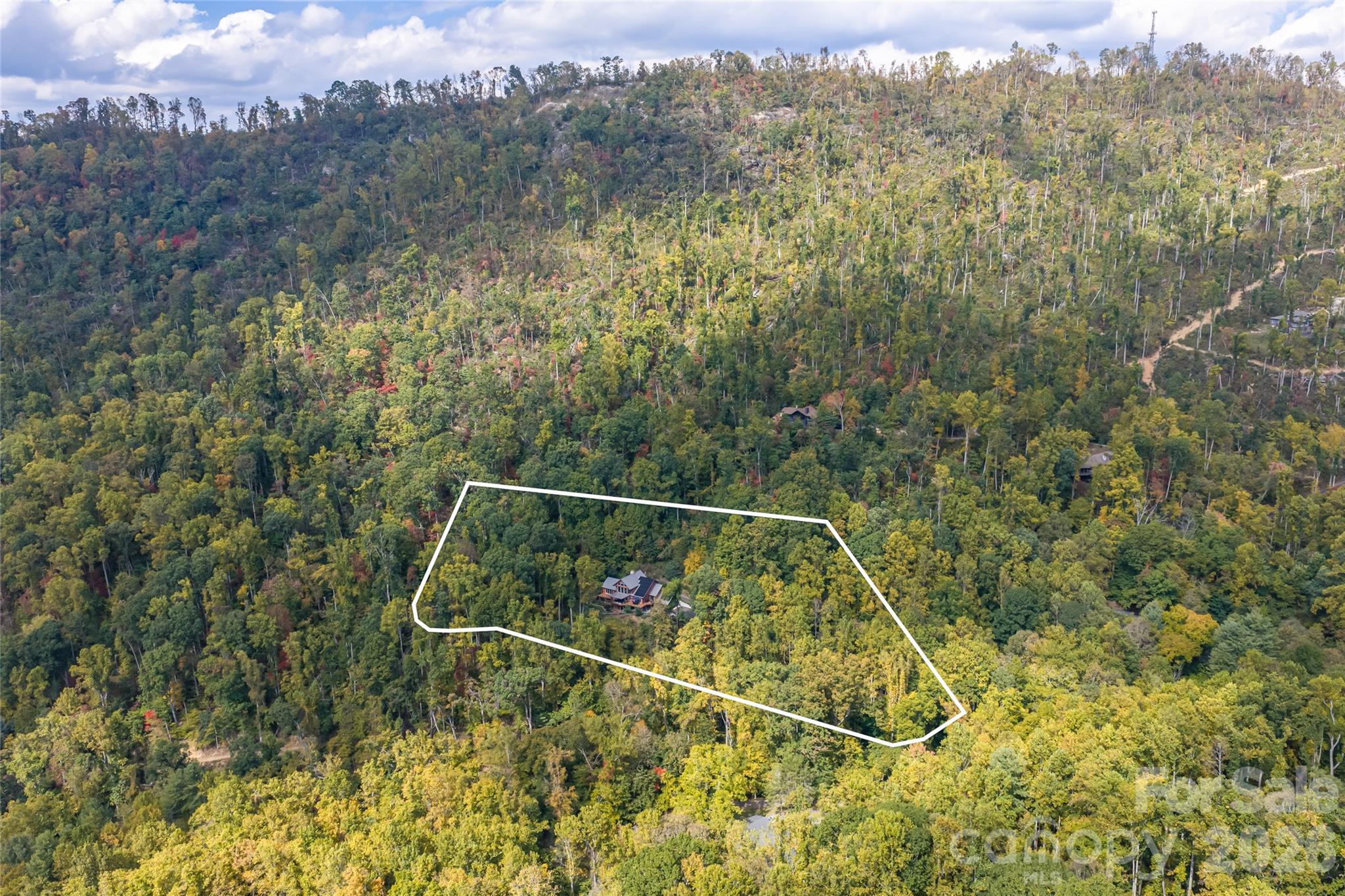 Large property for hiking - 364 Lynn Cove Road, Asheville