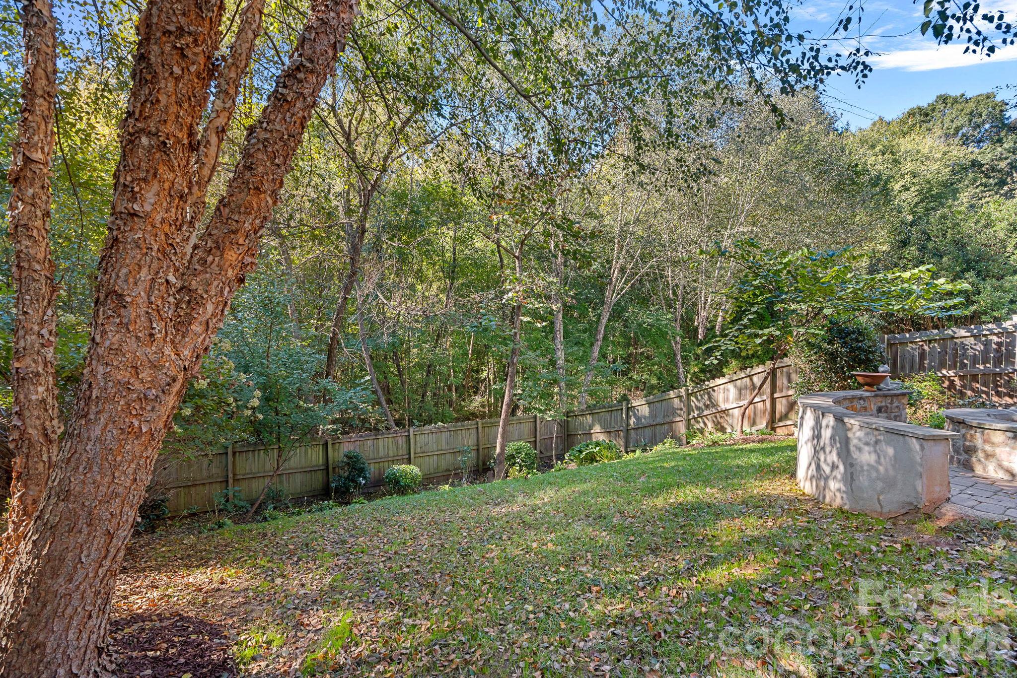 Private backyard backs up to a nature trail - 13326 Pierre Reverdy Drive, Davidson