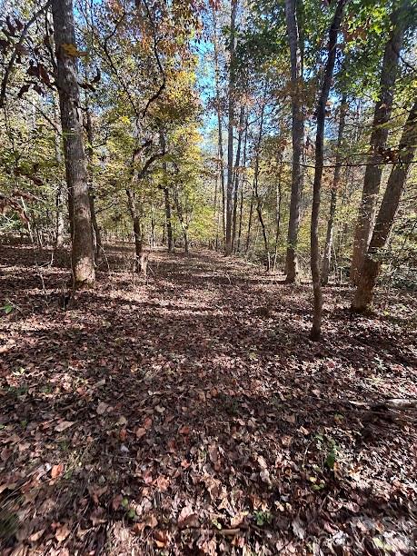 Lot at TBD Cross Creek Drive, Rutherfordton, photo 6 of 34