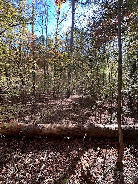 Lot at TBD Cross Creek Drive, Rutherfordton, photo 8 of 34