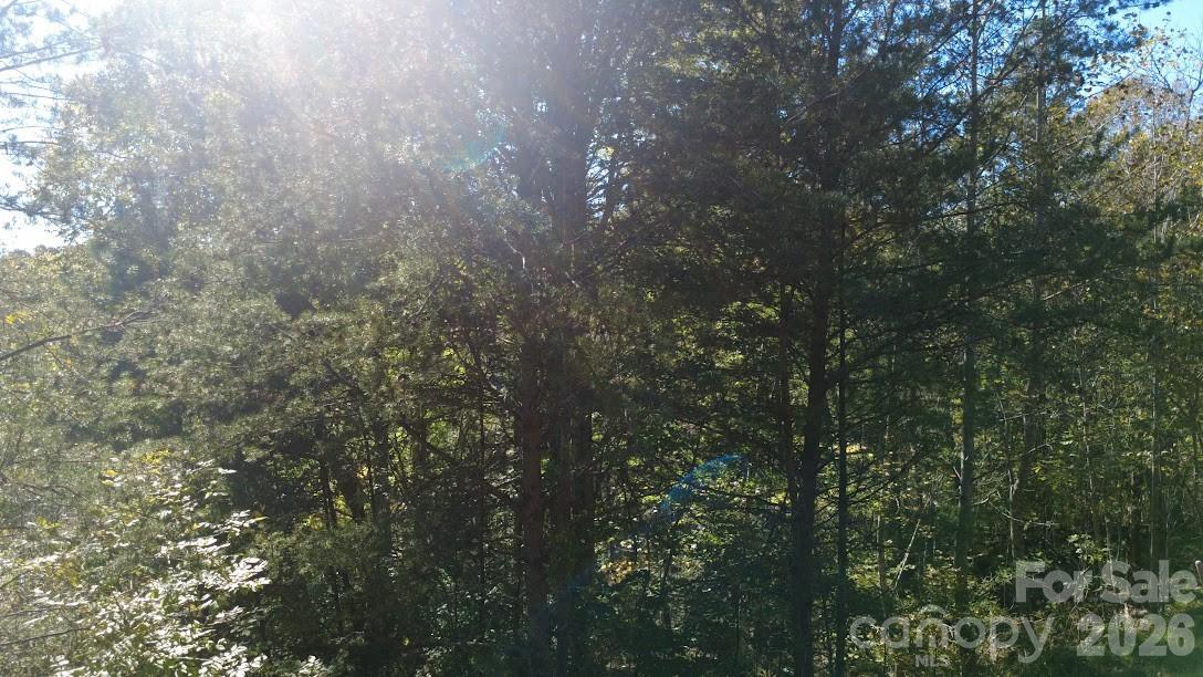 Lot at TBD Cross Creek Drive, Rutherfordton, photo 10 of 34