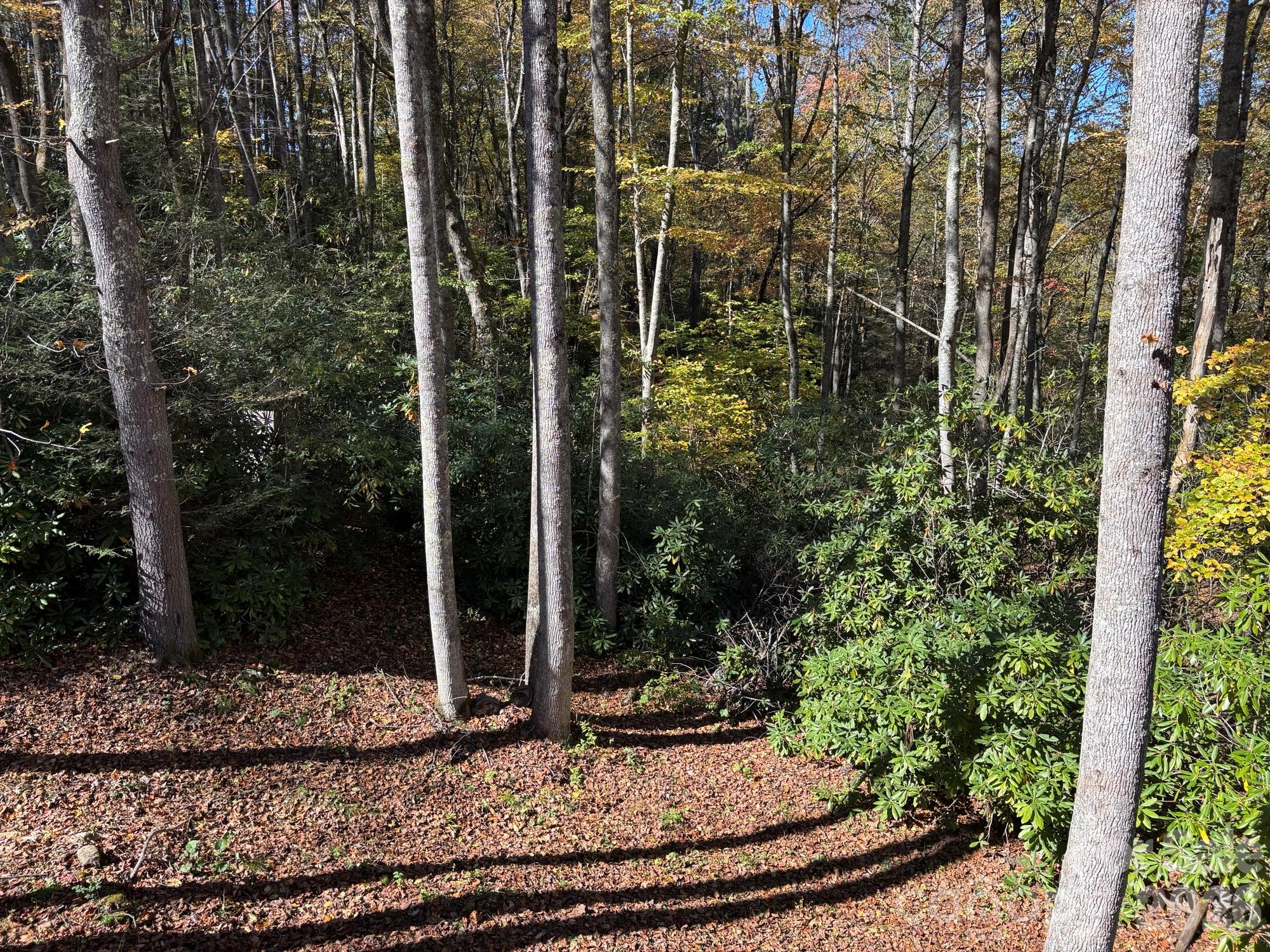 Single Family Residence at 1661 Mckinney Mine Road, Spruce Pine, photo 26 of 27