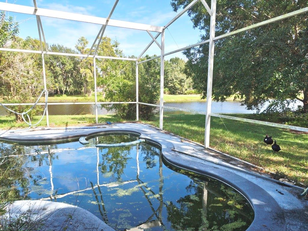 Pool - 959 GASCONY CT, KISSIMMEE