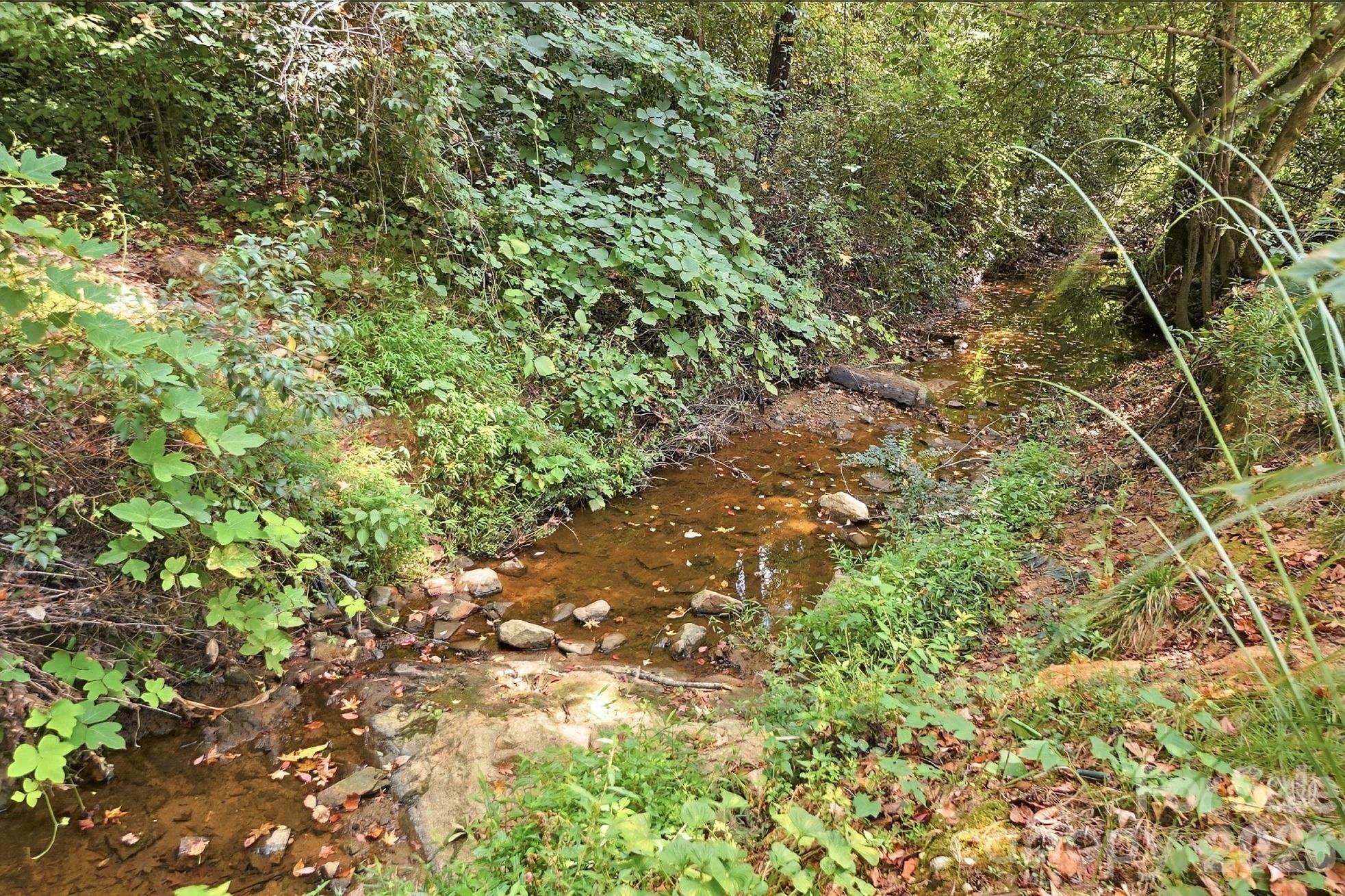Creek at the back of the Property - 4315 Emory Lane, Charlotte