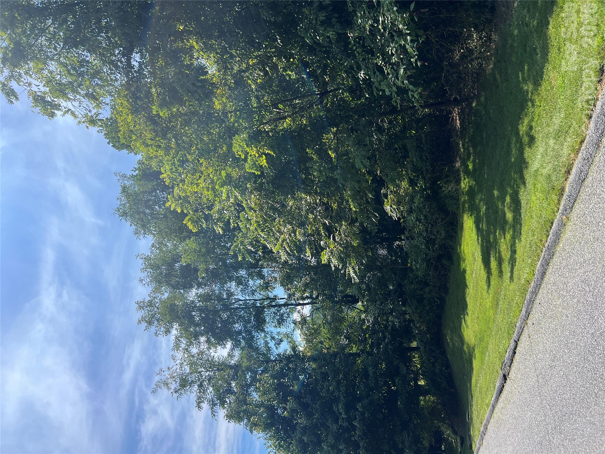 Lot at 0000 Ladys Fern Trail, Hendersonville, photo 6 of 13