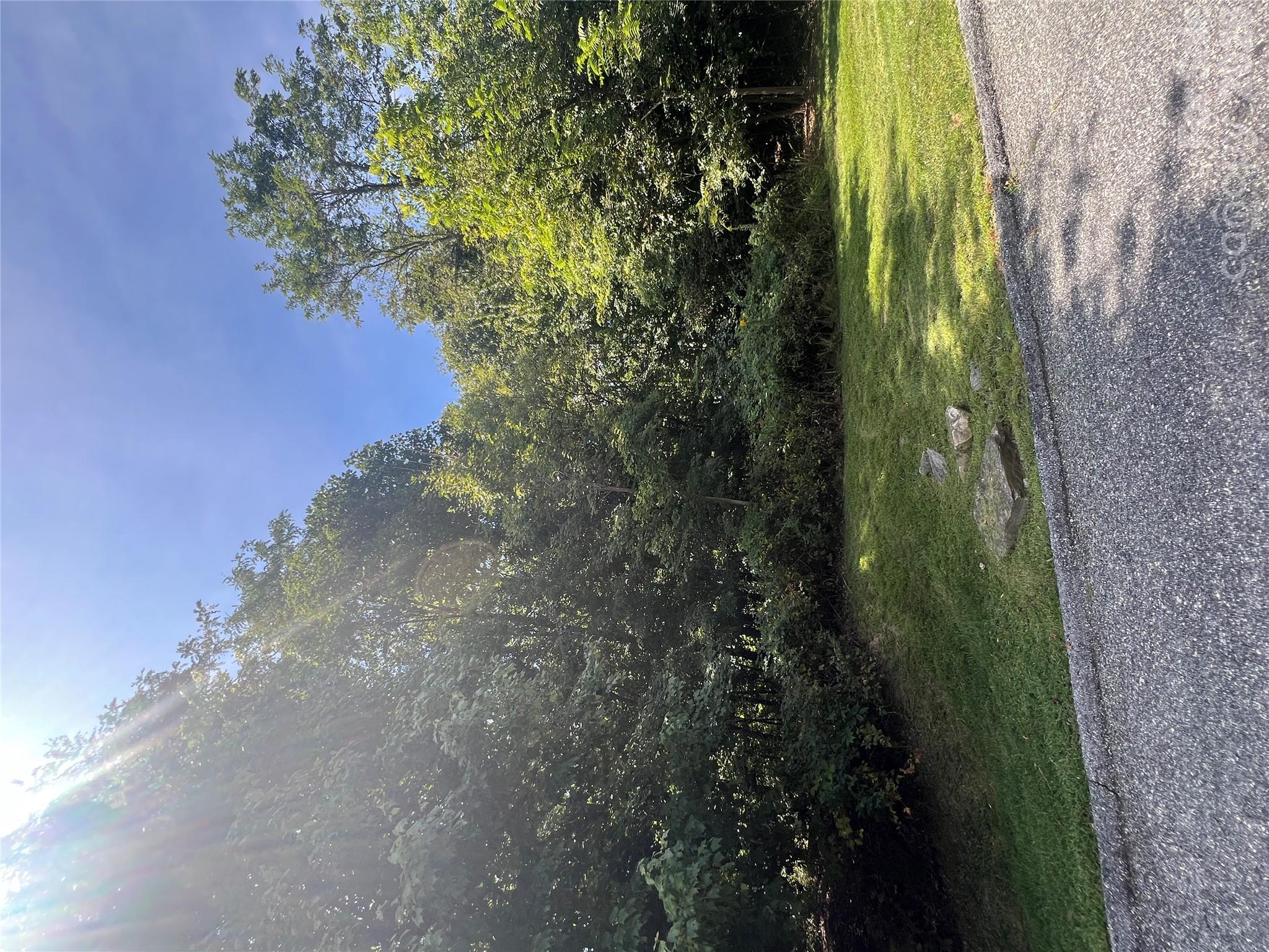 Lot at 0000 Ladys Fern Trail, Hendersonville, photo 9 of 13