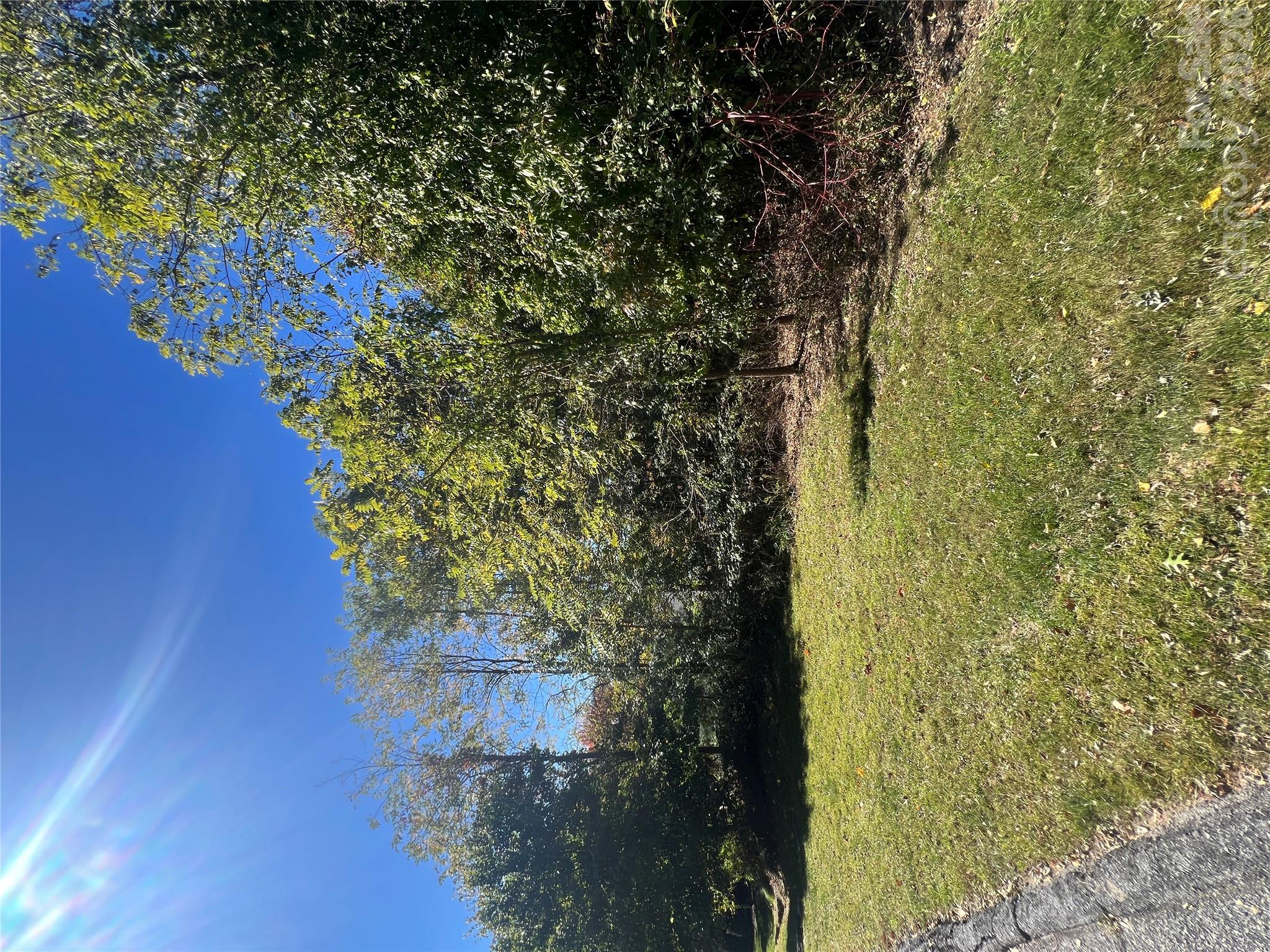 Lot at 0000 Ladys Fern Trail, Hendersonville, photo 7 of 13