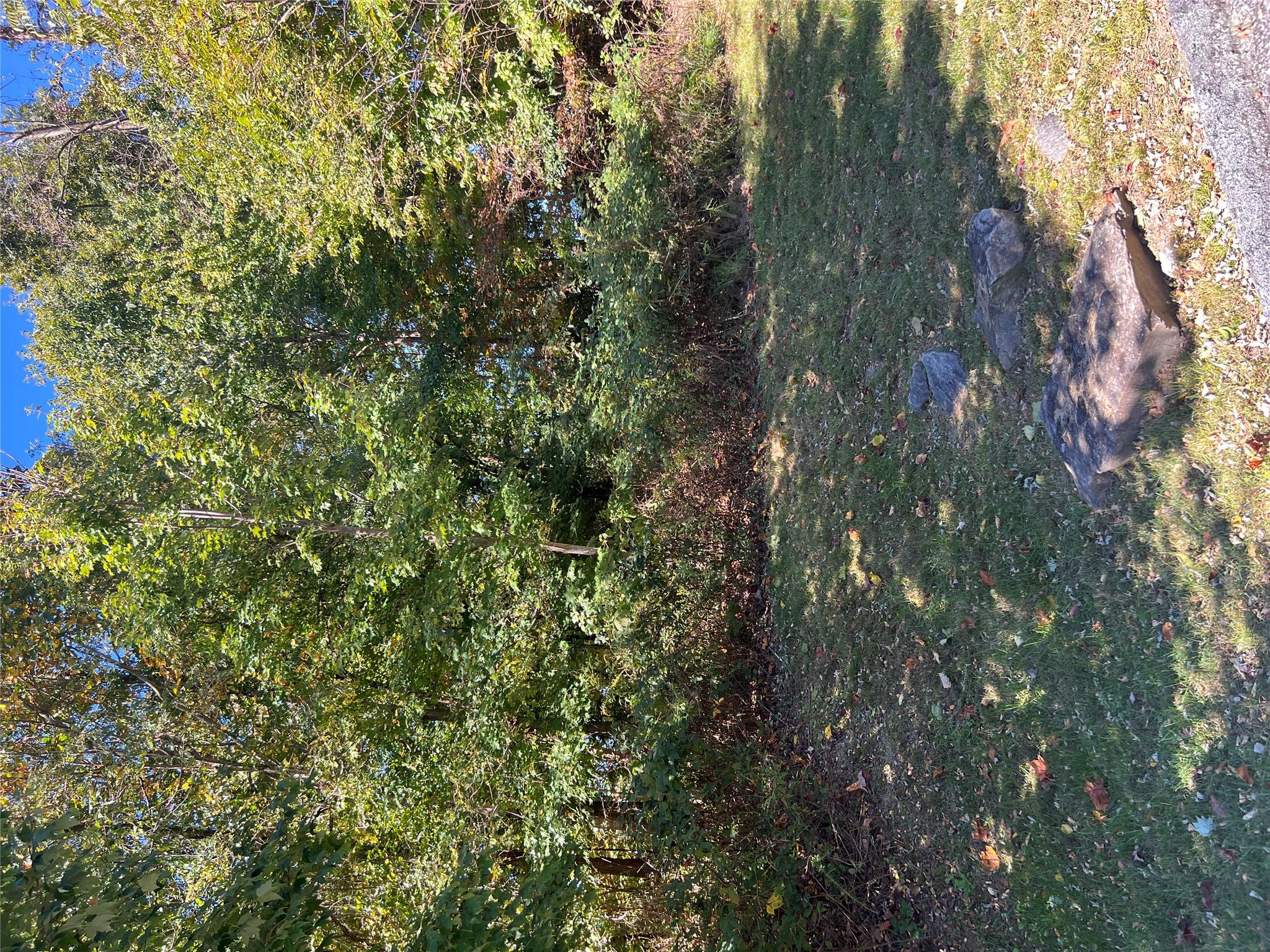 Lot at 0000 Ladys Fern Trail, Hendersonville, photo 10 of 13