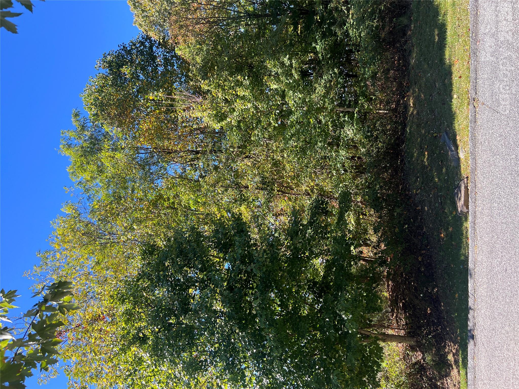 Lot at 0000 Ladys Fern Trail, Hendersonville, photo 11 of 13