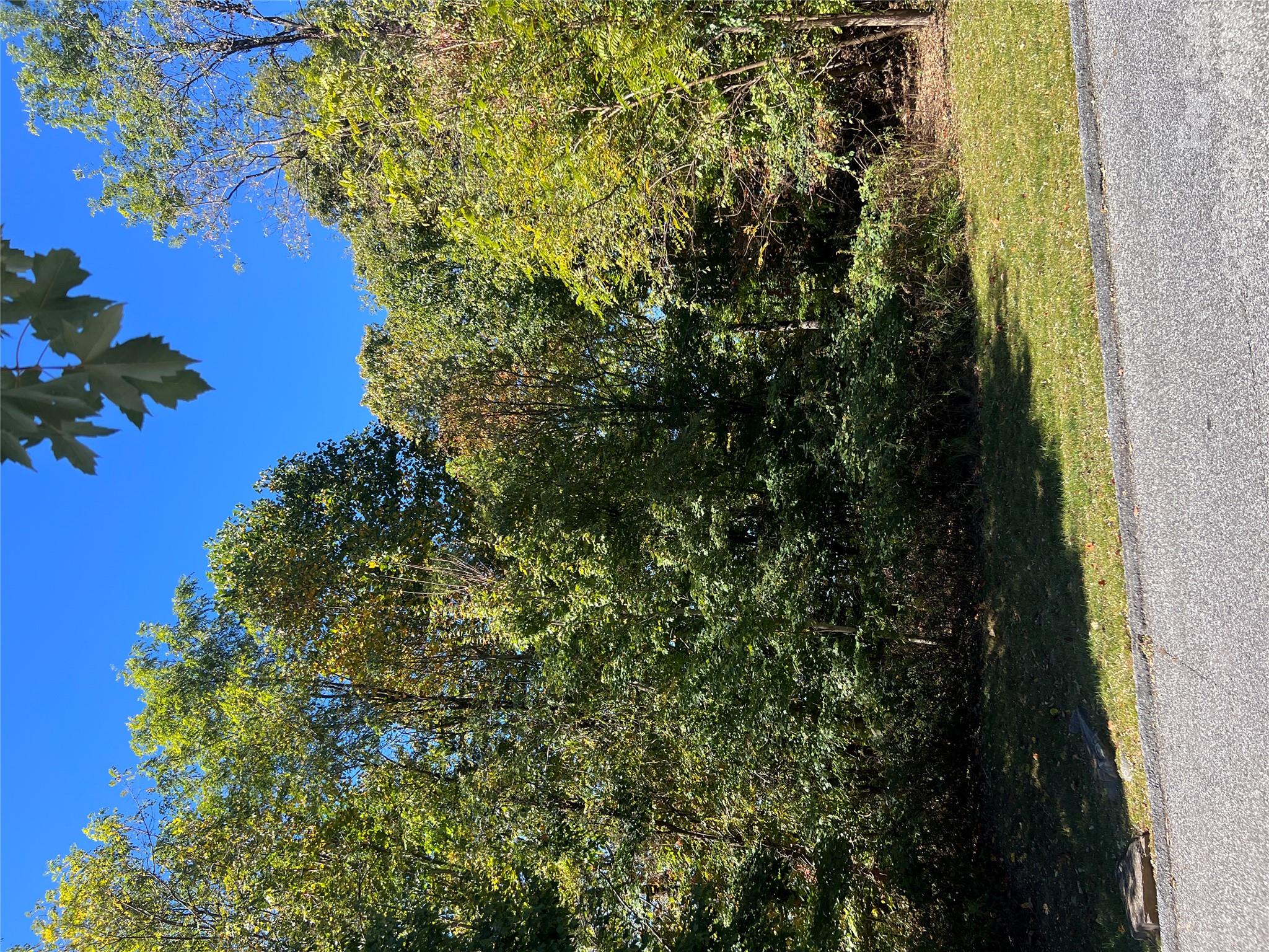 Lot at 0000 Ladys Fern Trail, Hendersonville, photo 12 of 13