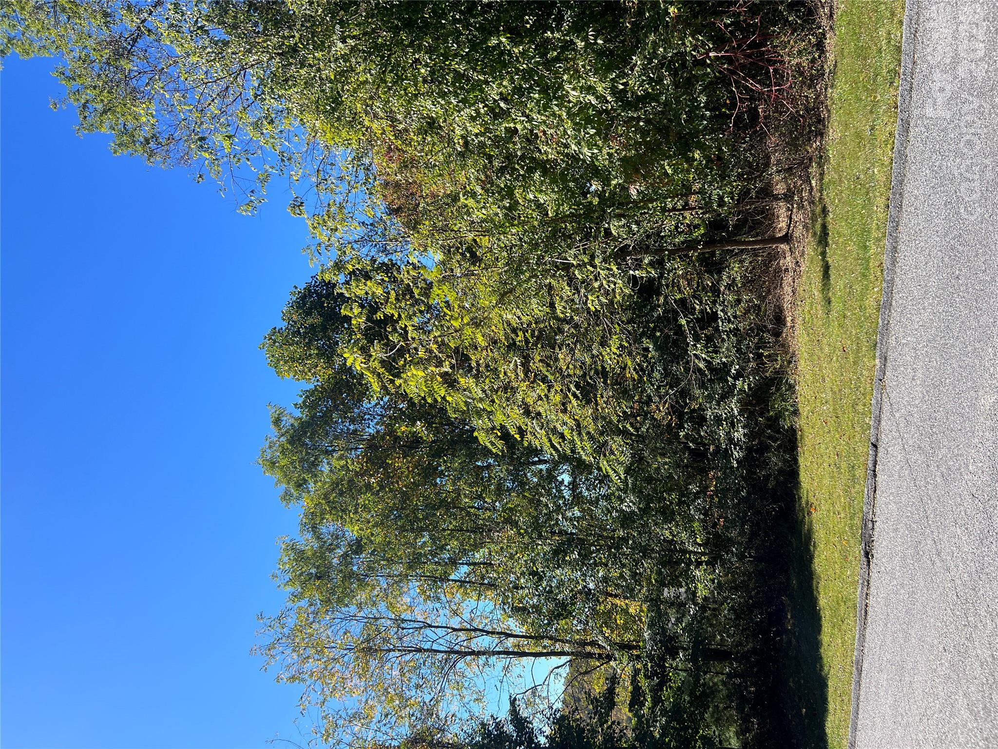 Lot at 0000 Ladys Fern Trail, Hendersonville, photo 13 of 13