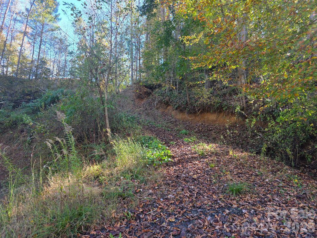 Lot at TBD Buckeye Hollow Road, Bakersville, photo 4 of 5