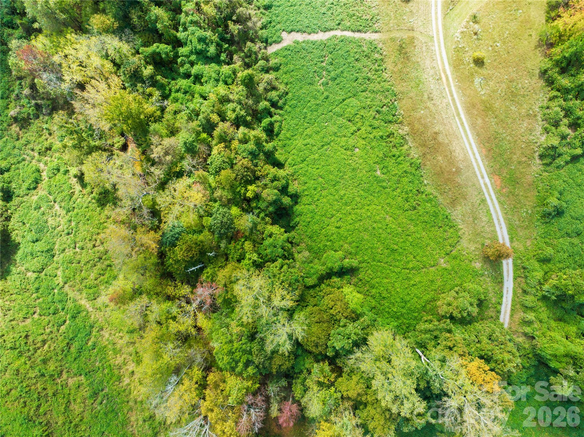 Acreage at 0 Abel Road, Bessemer City, photo 21 of 33