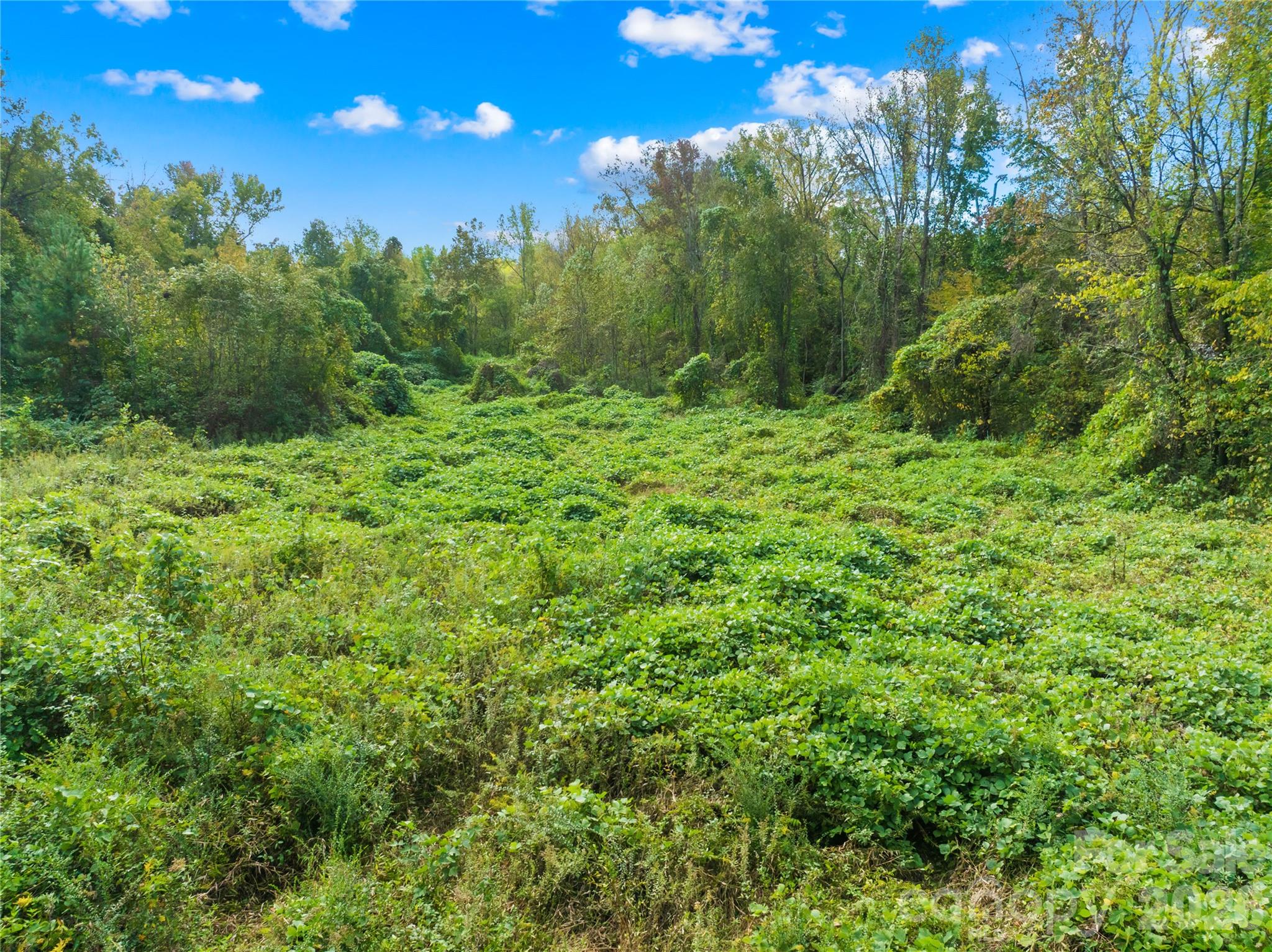 Acreage at 0 Abel Road, Bessemer City, photo 25 of 33