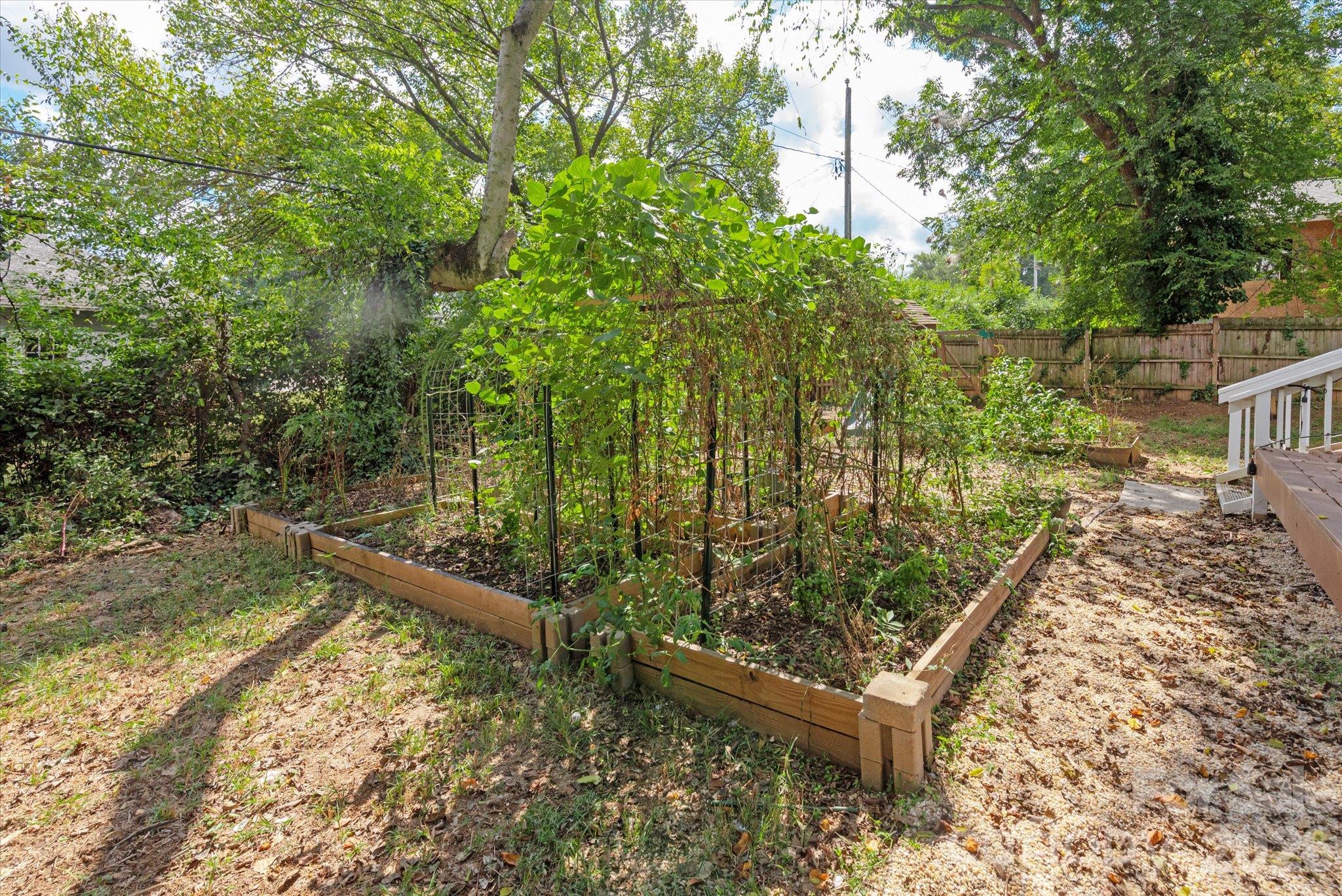 Garden has already been started for you! - 233 Florence Street, Rock Hill