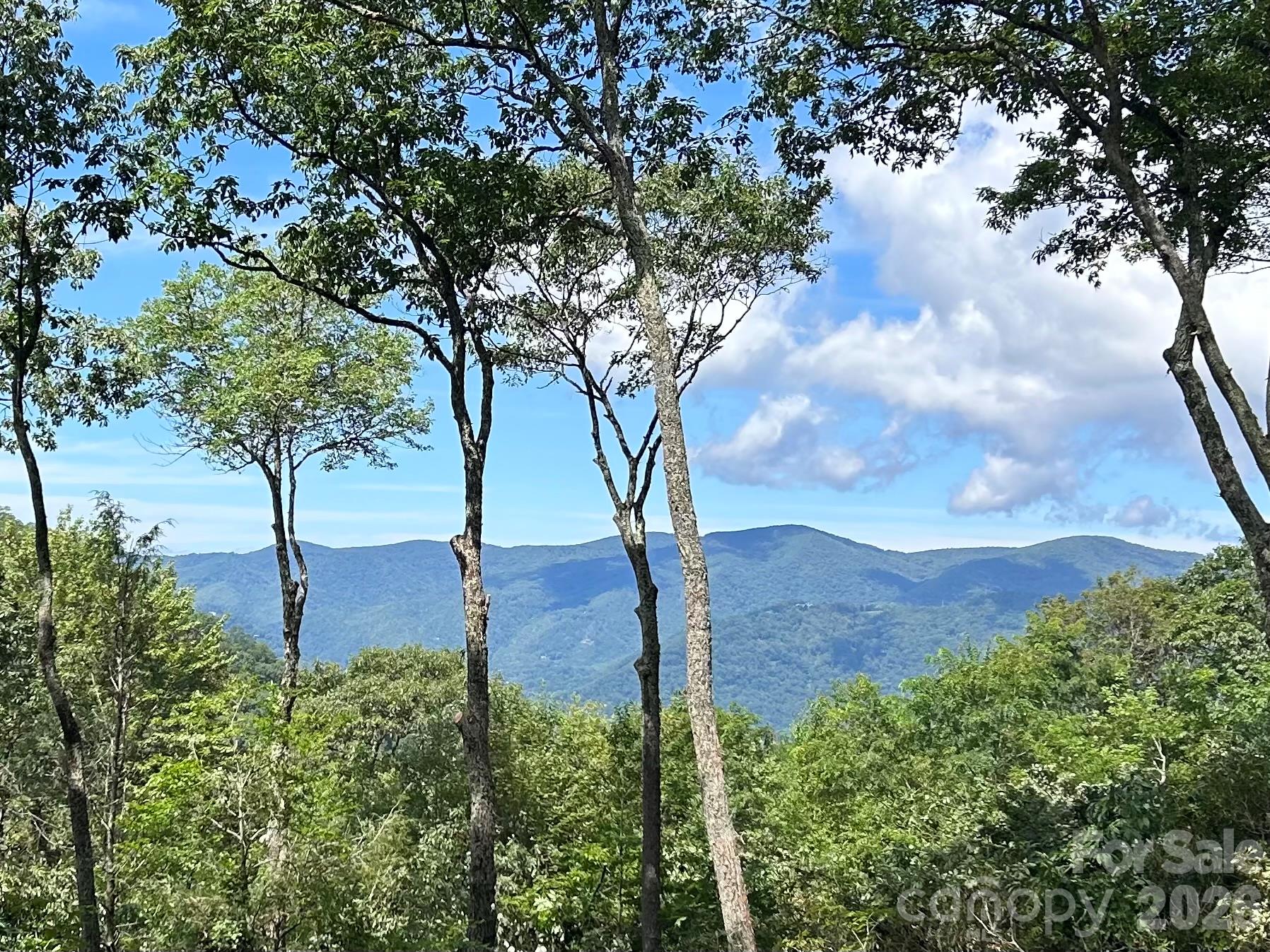270 Olli Trail