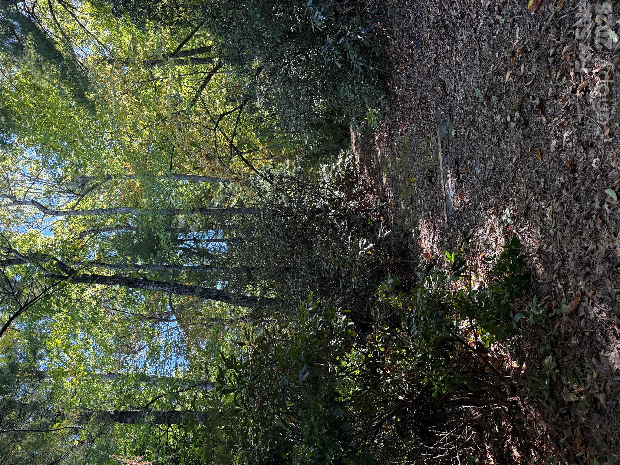 Lot at Lot 81 - R Kenmure Drive, Flat Rock, photo 4 of 38