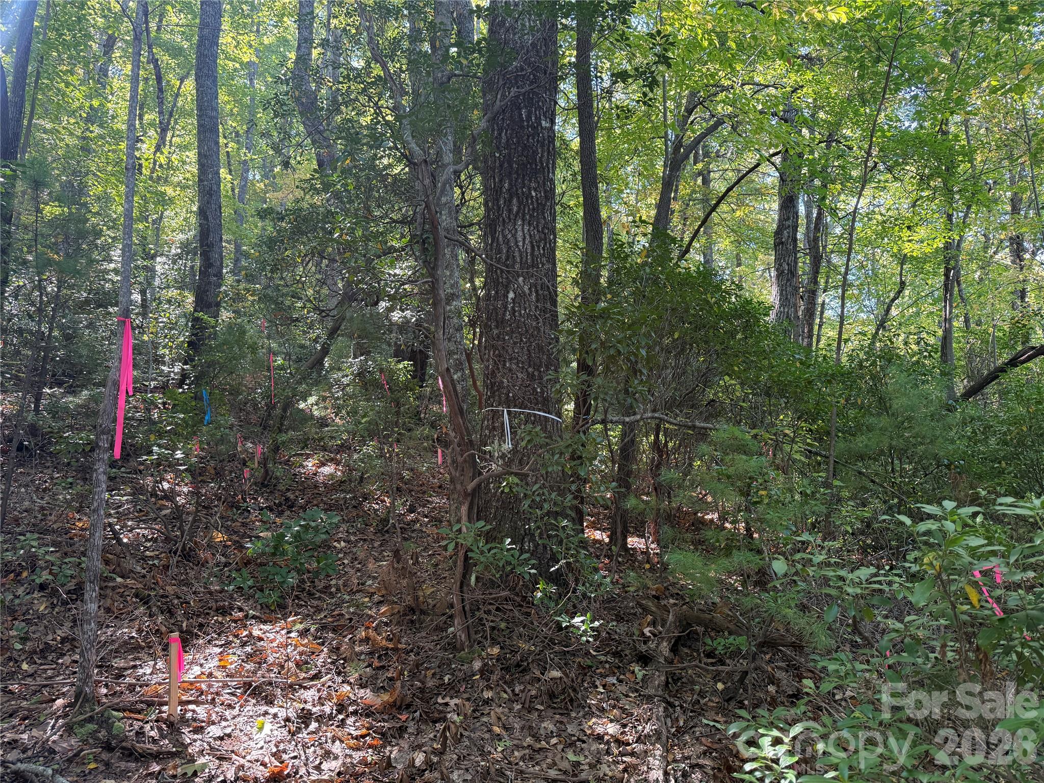 Lot at Lot 81 - R Kenmure Drive, Flat Rock, photo 8 of 38