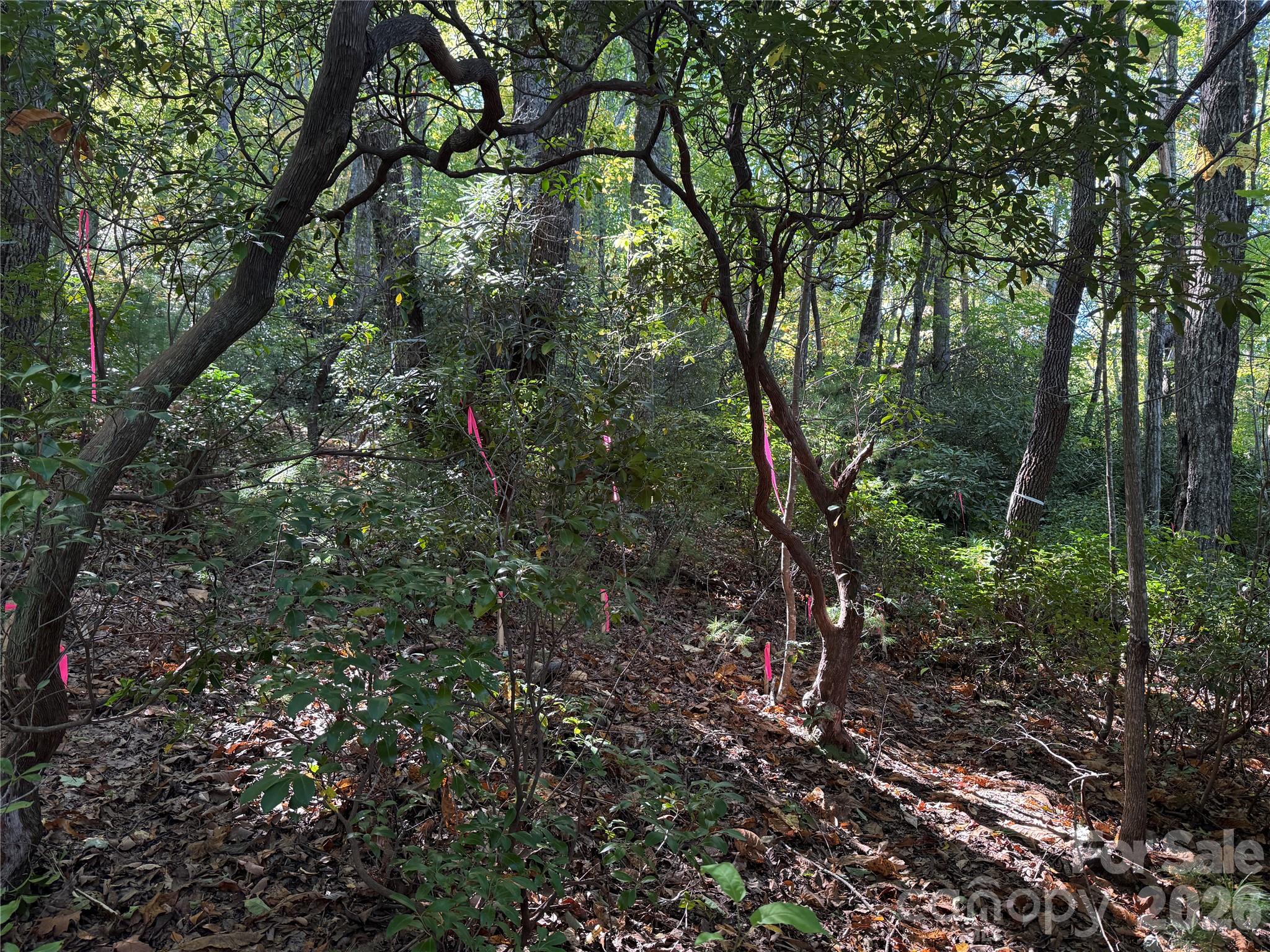 Lot at Lot 81 - R Kenmure Drive, Flat Rock, photo 12 of 38