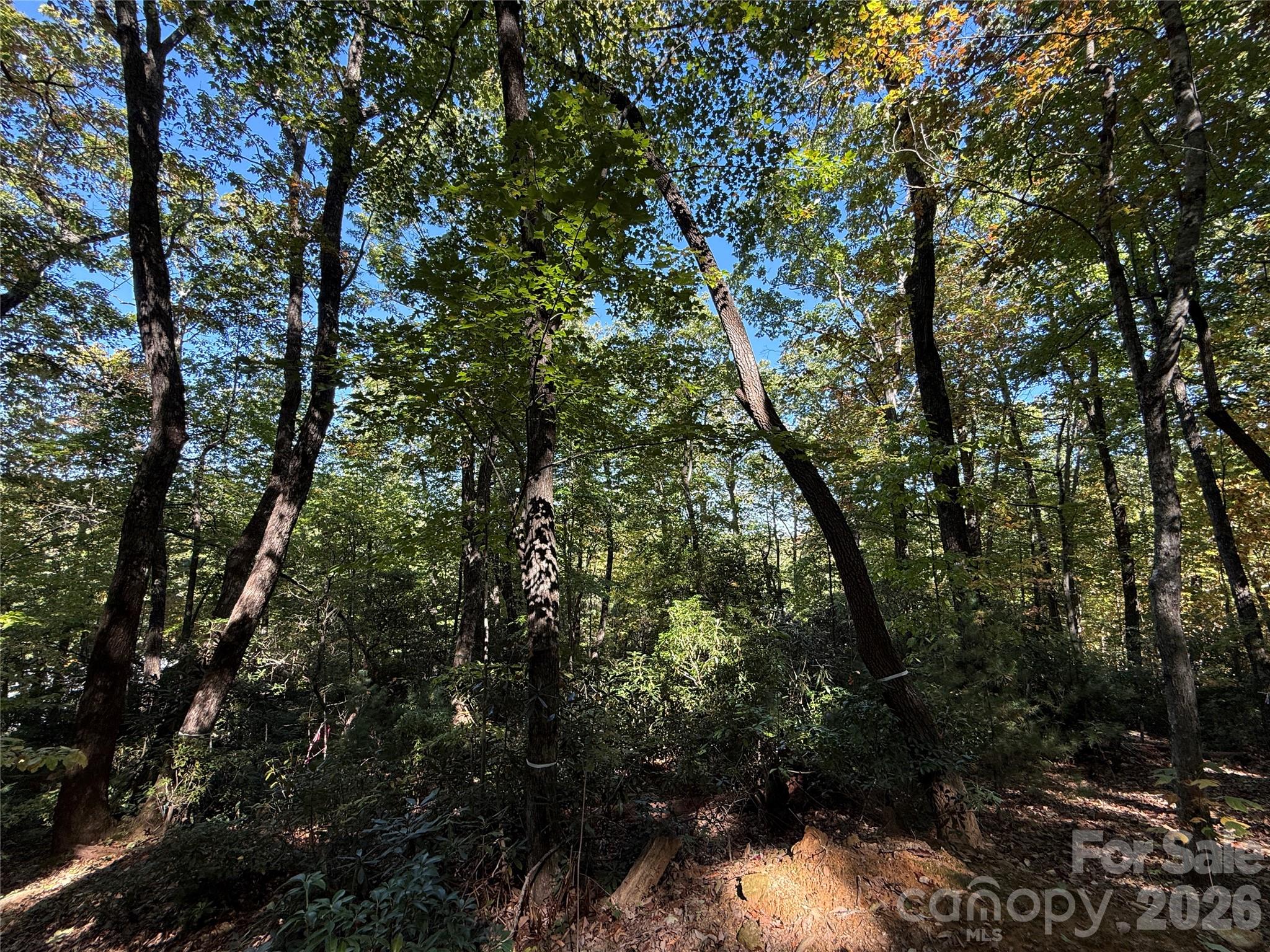 Lot at Lot 81 - R Kenmure Drive, Flat Rock, photo 14 of 38