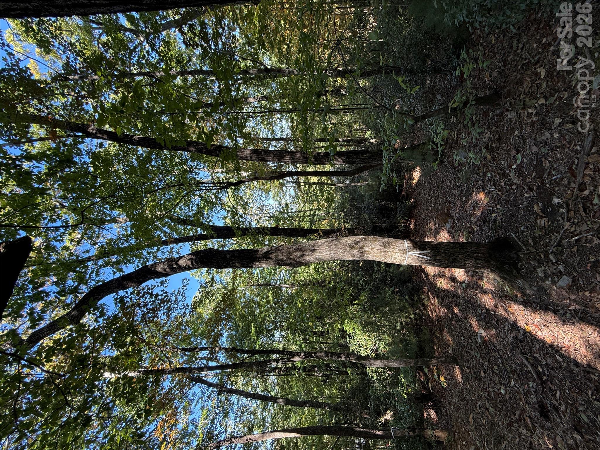 Lot at Lot 81 - R Kenmure Drive, Flat Rock, photo 15 of 38