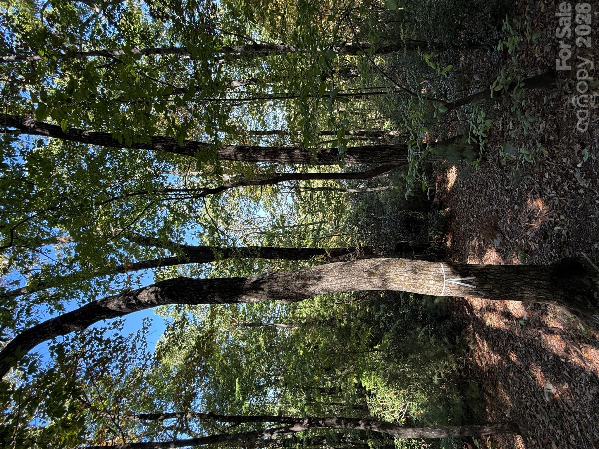 Lot at Lot 81 - R Kenmure Drive, Flat Rock, photo 16 of 38