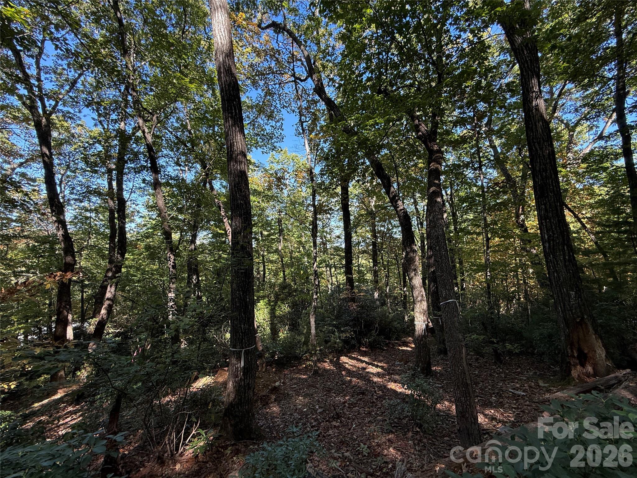 Lot at Lot 81 - R Kenmure Drive, Flat Rock, photo 19 of 38