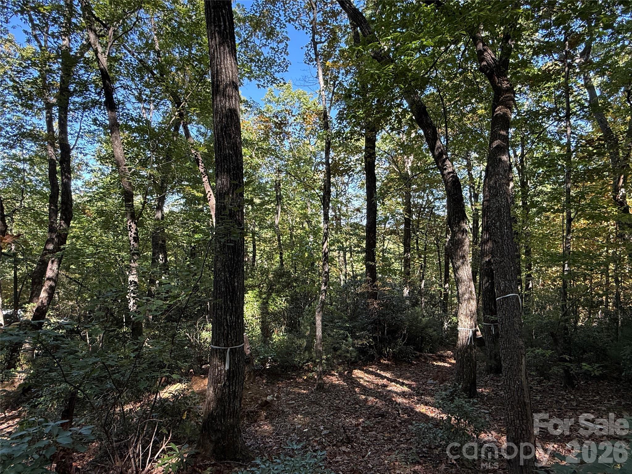 Lot at Lot 81 - R Kenmure Drive, Flat Rock, photo 20 of 38
