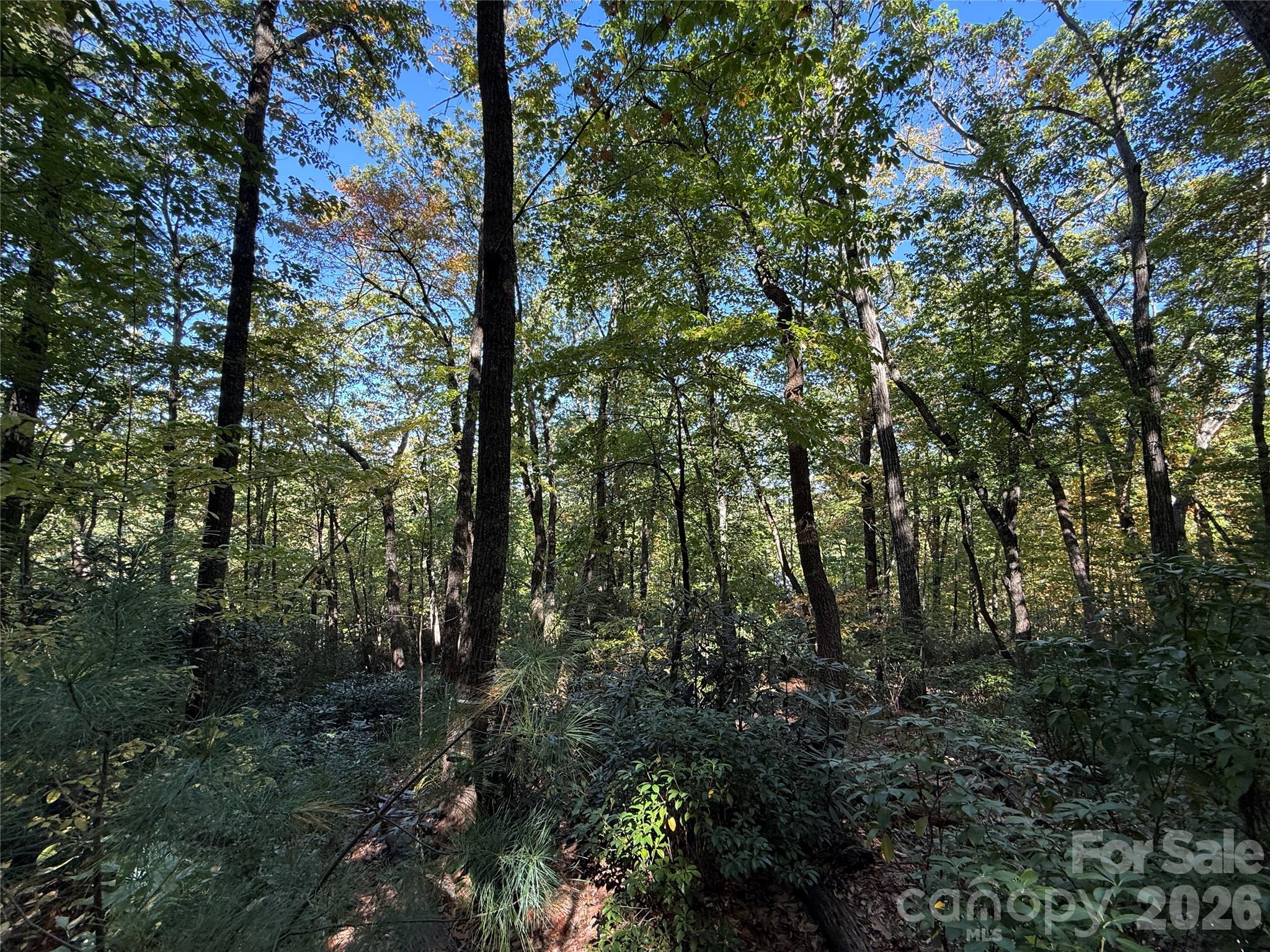 Lot at Lot 81 - R Kenmure Drive, Flat Rock, photo 22 of 38