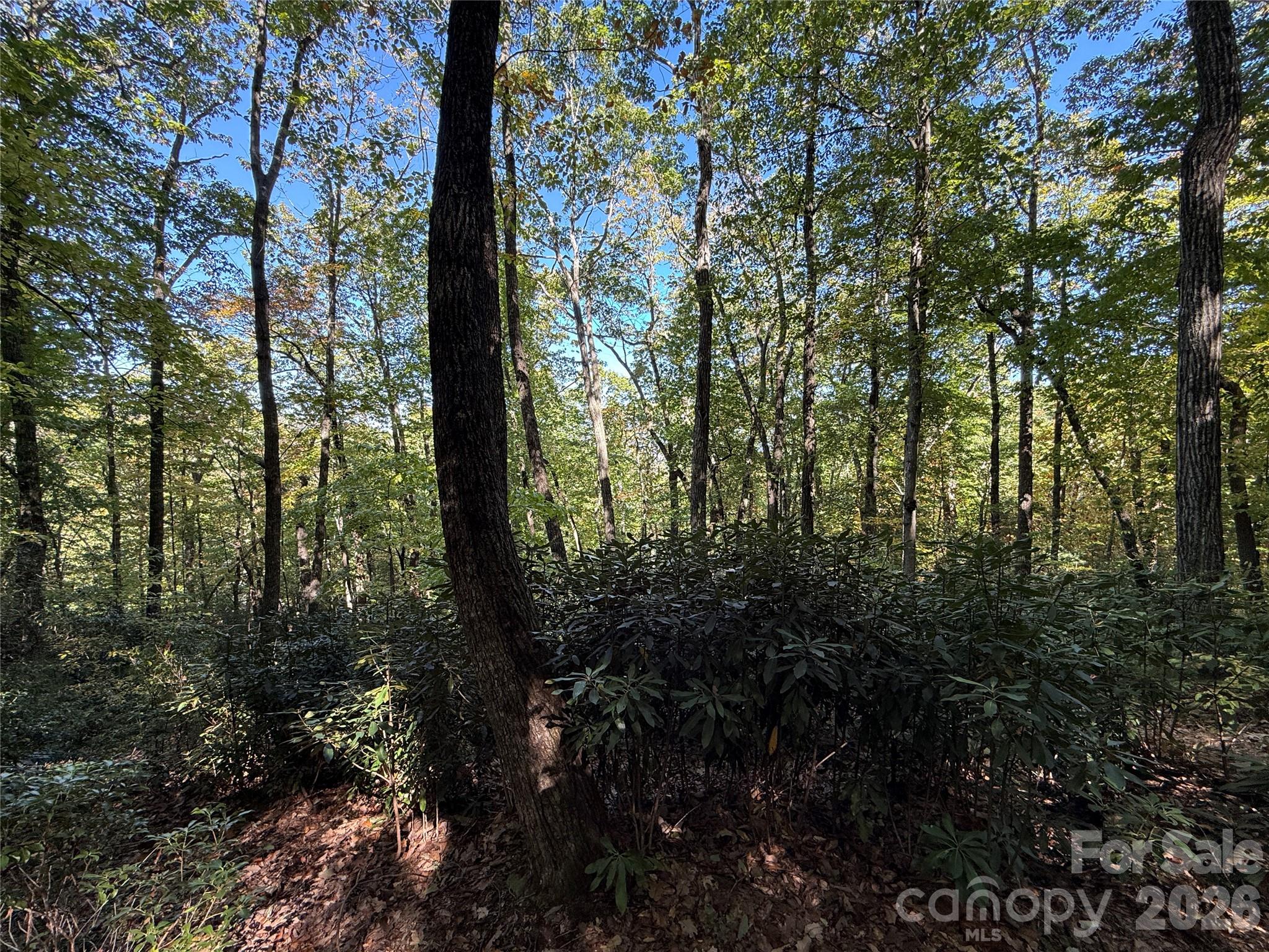 Lot at Lot 81 - R Kenmure Drive, Flat Rock, photo 24 of 38