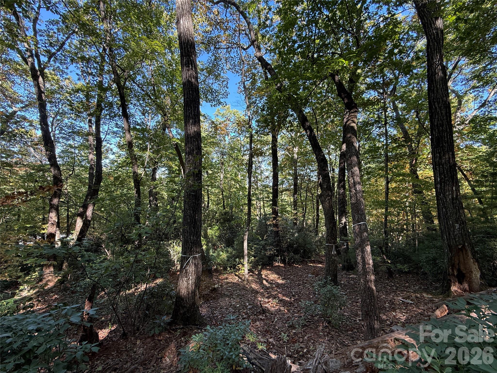 Lot at Lot 81 - R Kenmure Drive, Flat Rock, photo 28 of 38