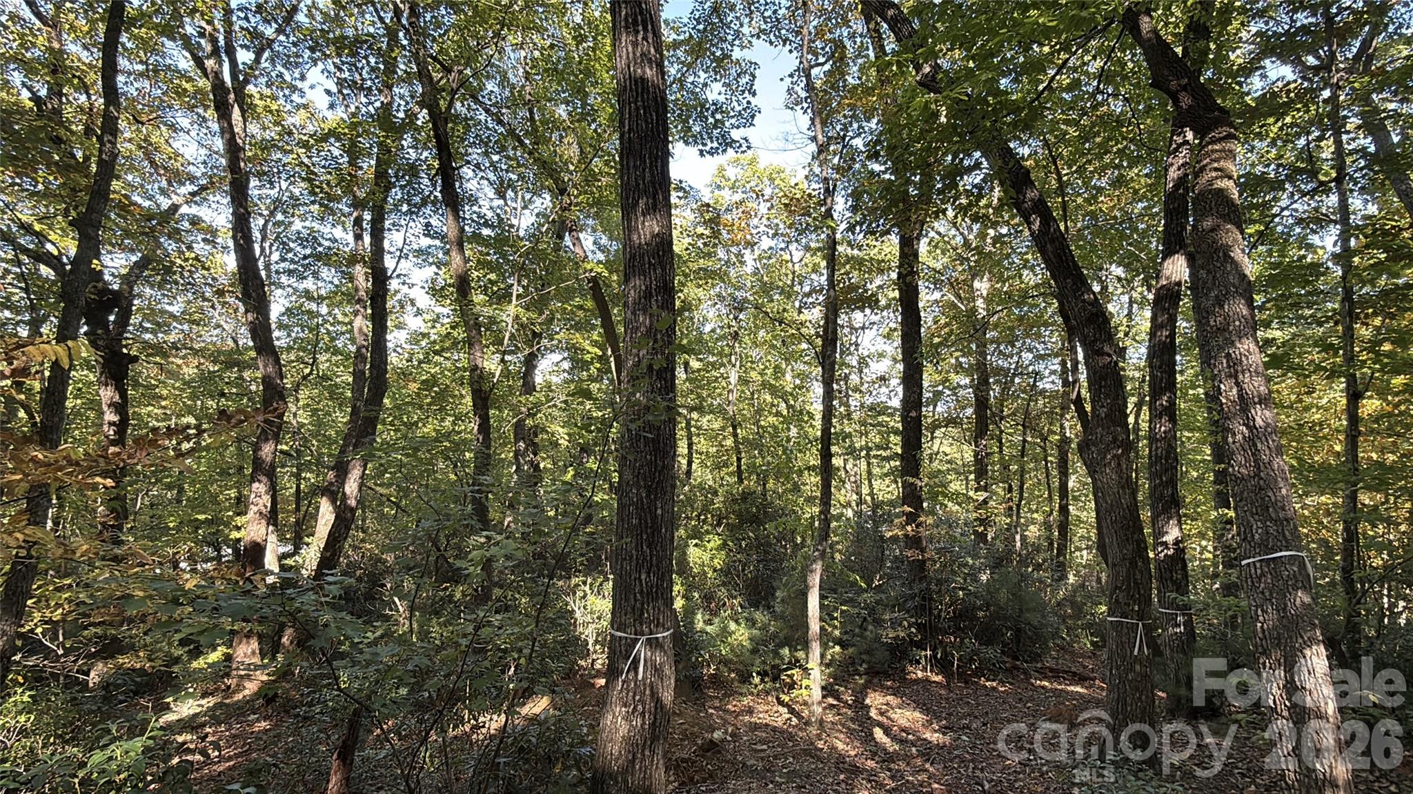 Lot at Lot 81 - R Kenmure Drive, Flat Rock, photo 29 of 38