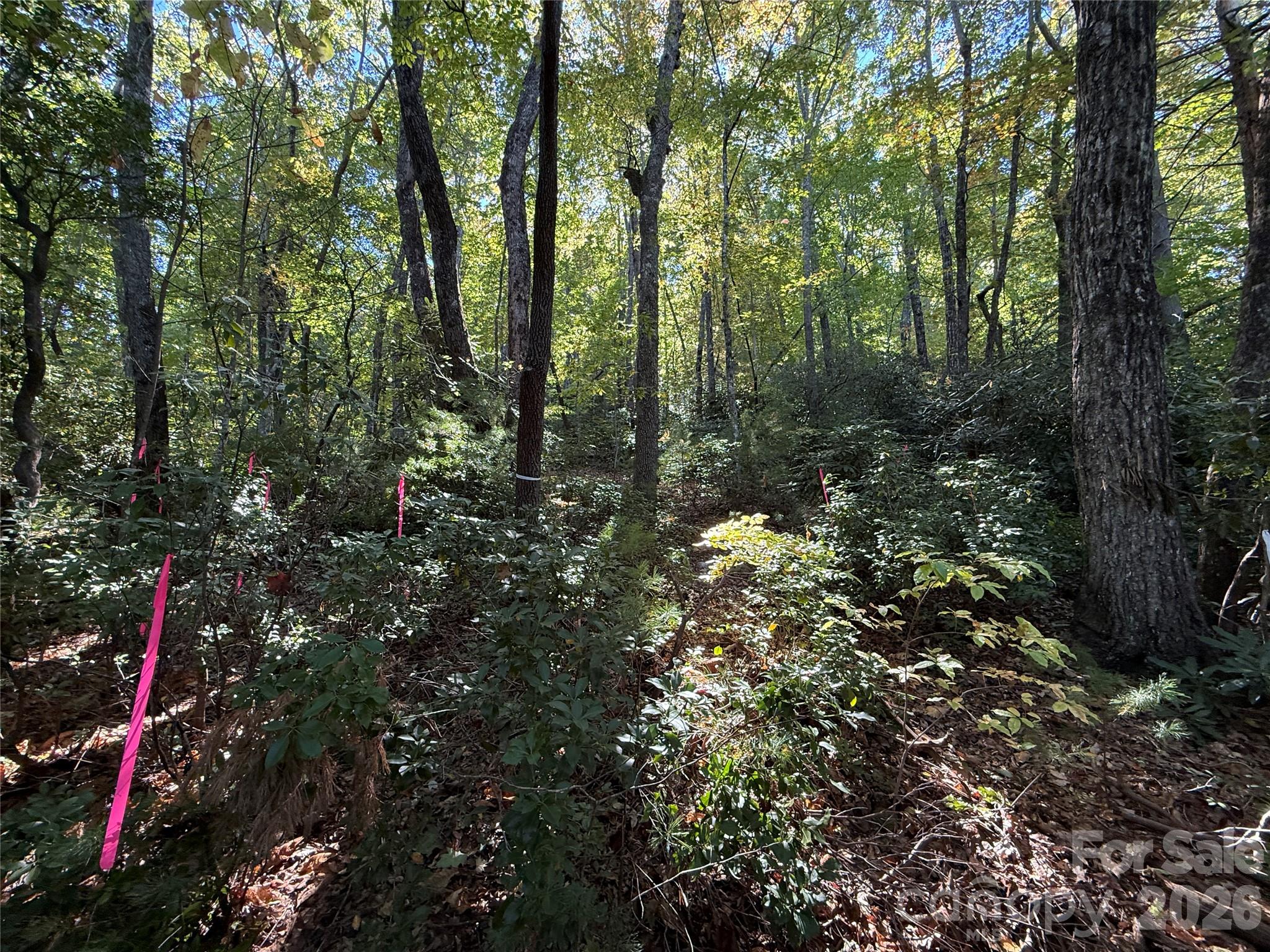 Lot at Lot 81 - R Kenmure Drive, Flat Rock, photo 31 of 38
