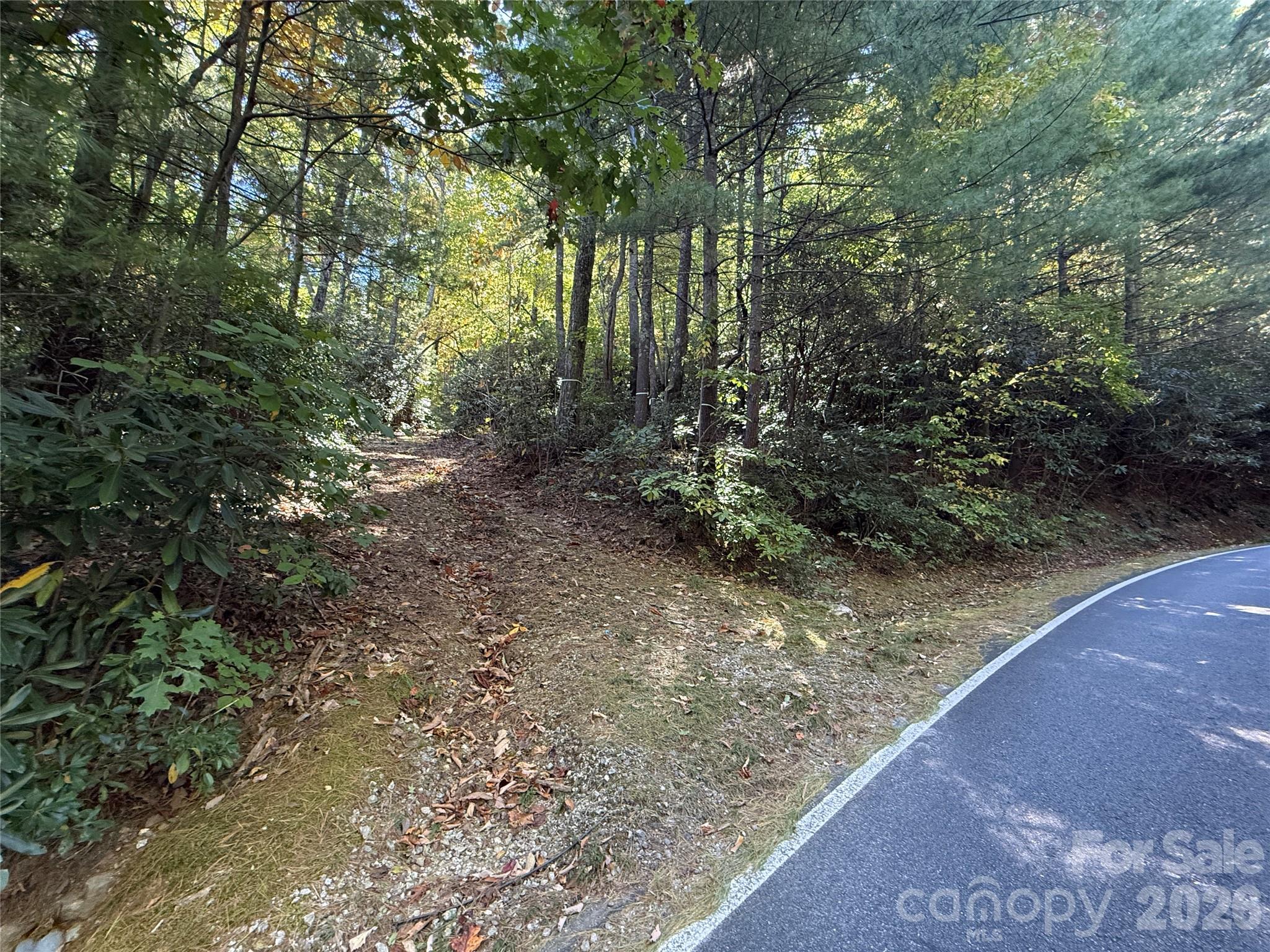 Lot at Lot 81 - R Kenmure Drive, Flat Rock, photo 33 of 38