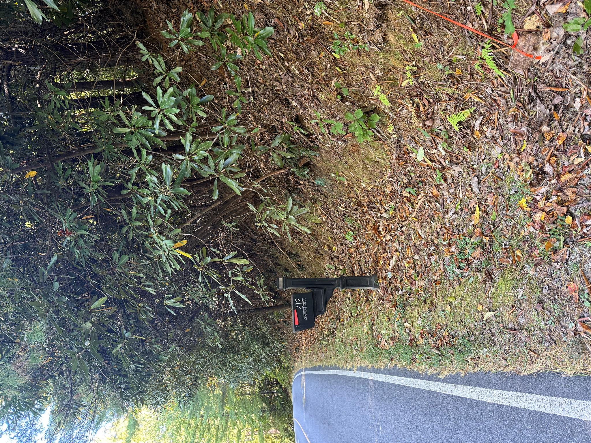 Lot at Lot 81 - R Kenmure Drive, Flat Rock, photo 38 of 38