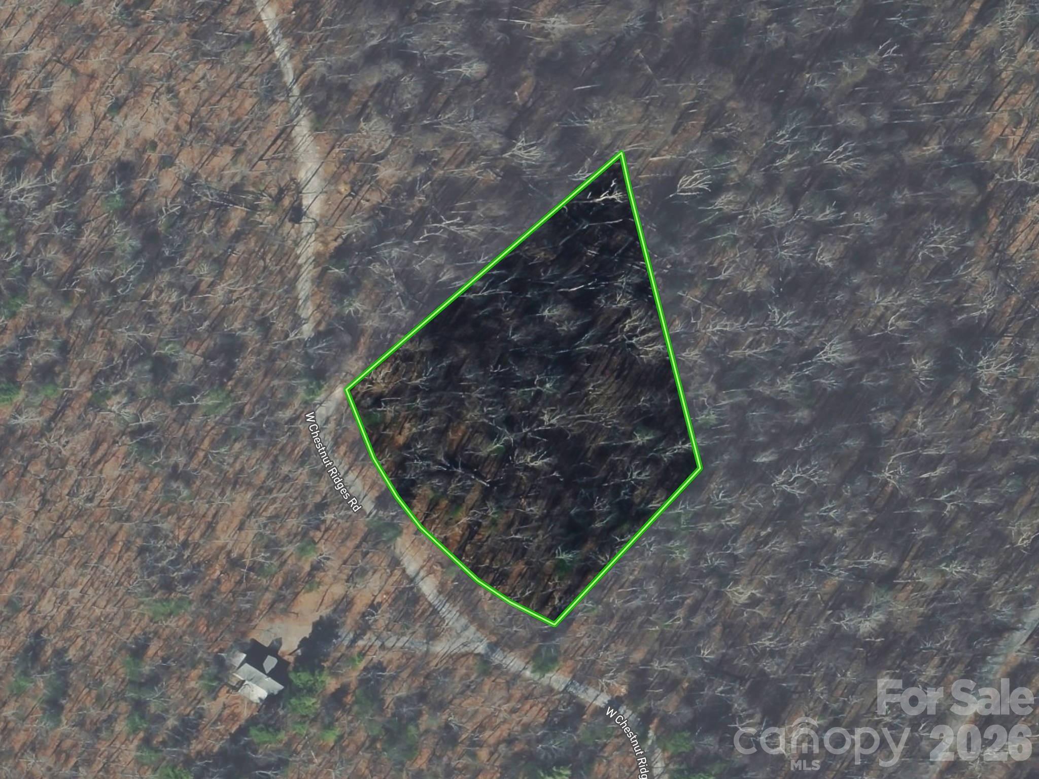 Lot 7 W Chestnut Ridges Road