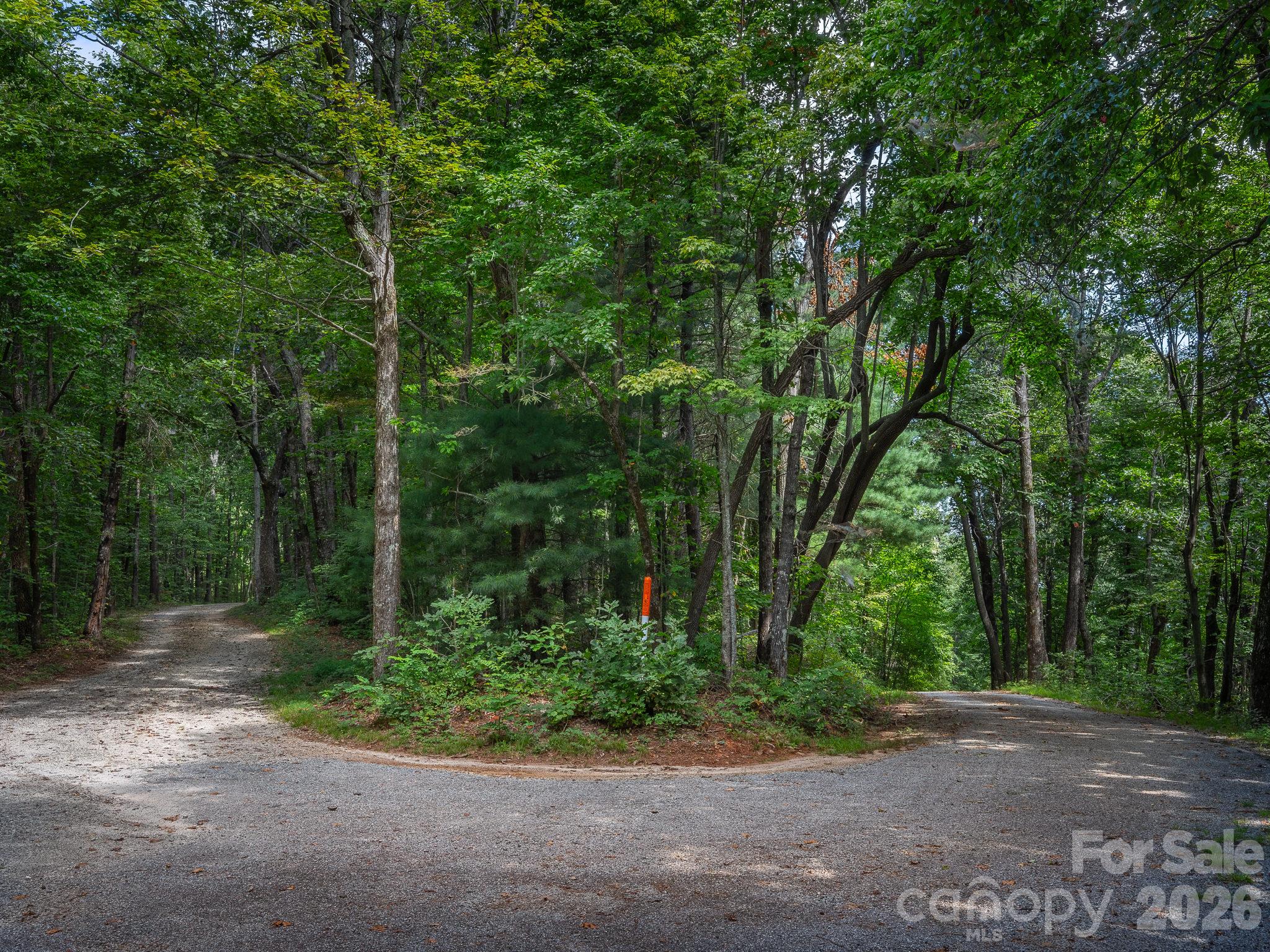 River Ridges Road and West Chestnut Ridges Road - Lot 7 W Chestnut Ridges Road, Hendersonville