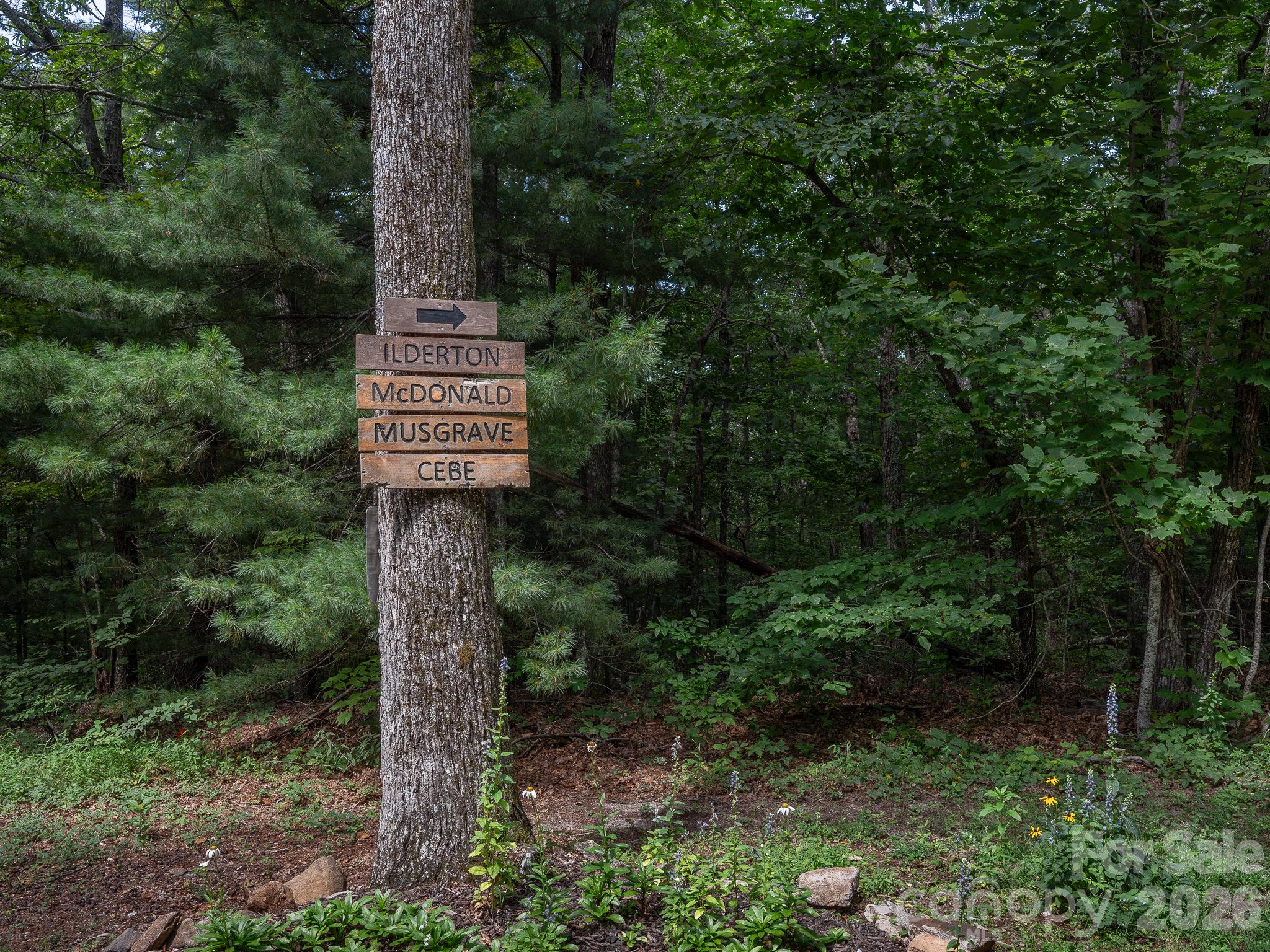 West Chestnut Ridges Road - Lot 7 W Chestnut Ridges Road, Hendersonville