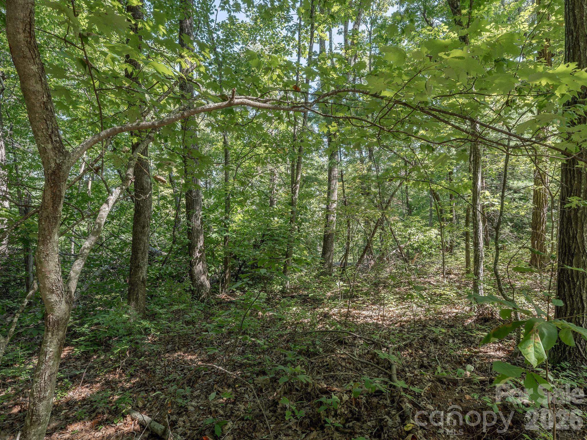Lot - Lot 7 W Chestnut Ridges Road, Hendersonville