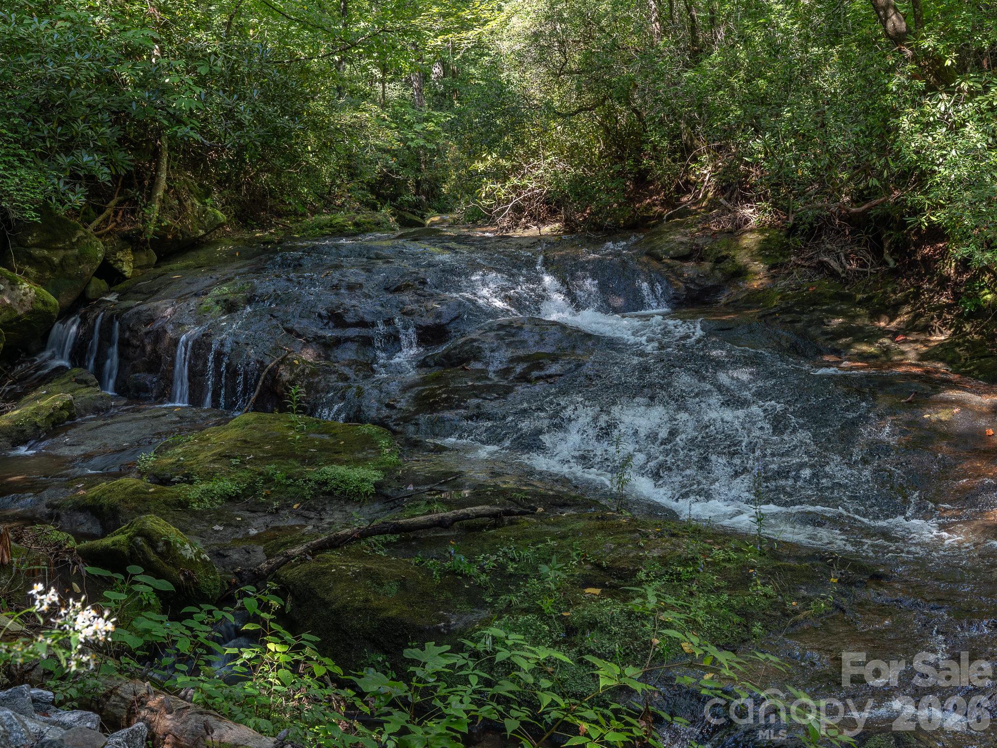 Surrounding area in close proximity to the lot, but outside of the community. - Lot 7 W Chestnut Ridges Road, Hendersonville