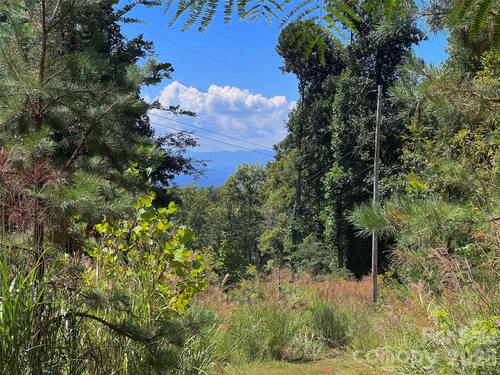 Acreage at 401 ± Upper Flat Creek Road, Weaverville, photo 15 of 44