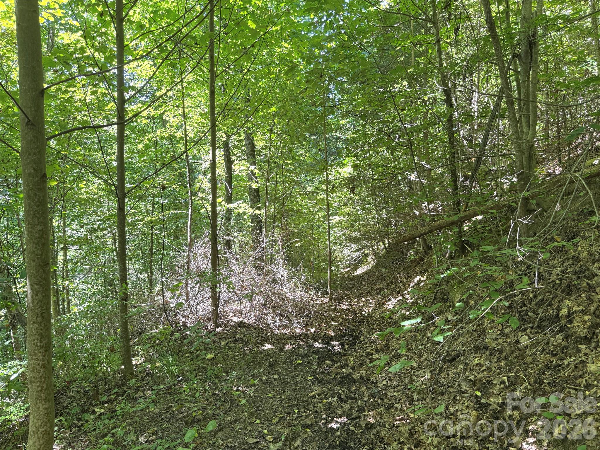 Acreage at 401 ± Upper Flat Creek Road, Weaverville, photo 23 of 44