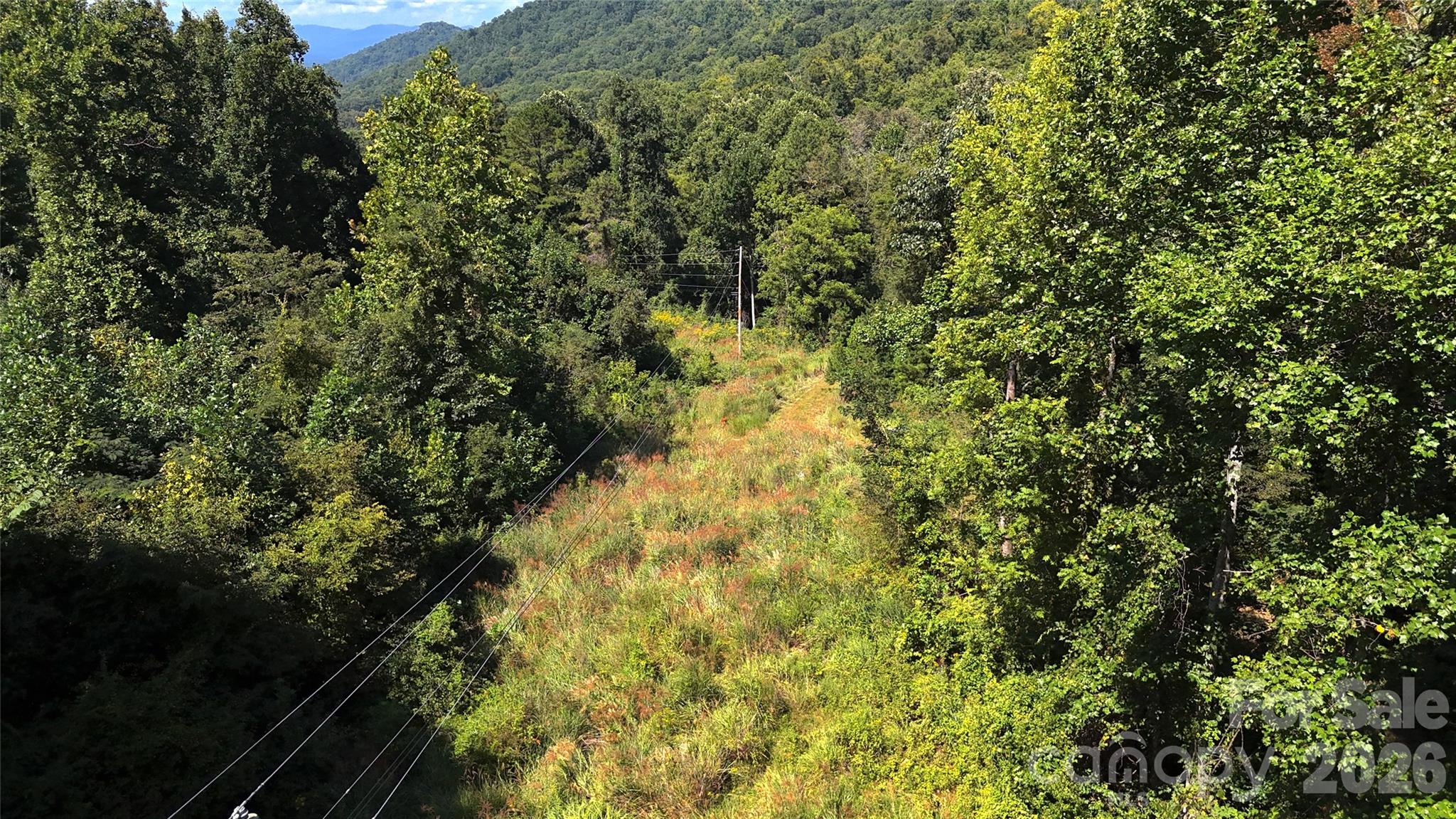 Acreage at 401 ± Upper Flat Creek Road, Weaverville, photo 24 of 44