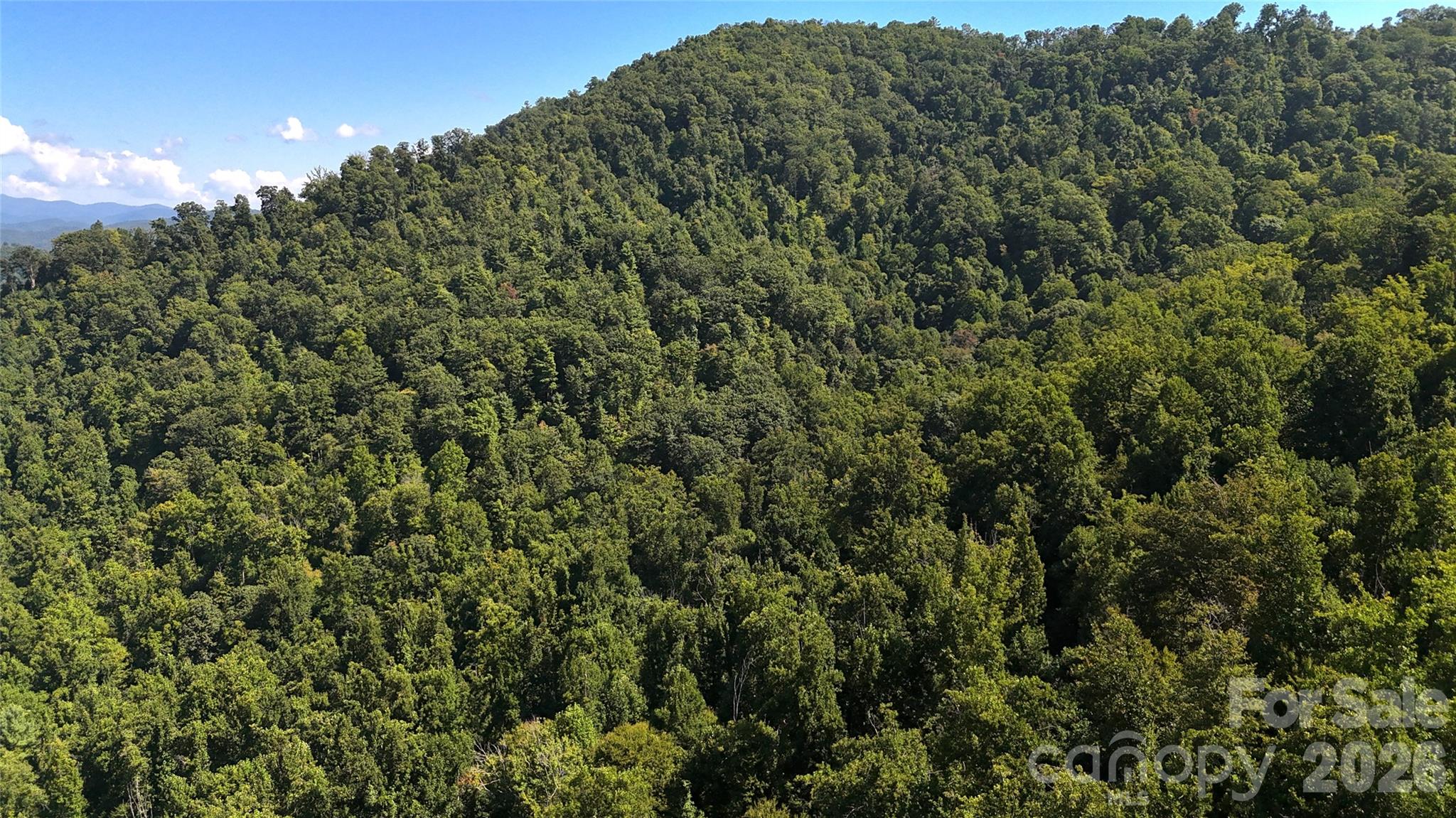 Acreage at 401 ± Upper Flat Creek Road, Weaverville, photo 27 of 44