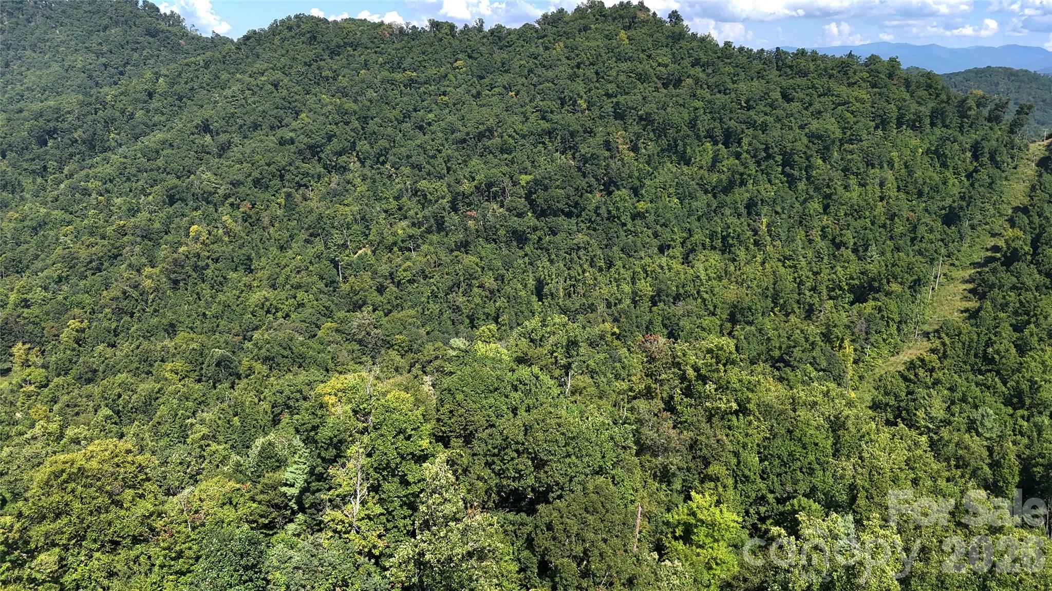 Acreage at 401 ± Upper Flat Creek Road, Weaverville, photo 28 of 44