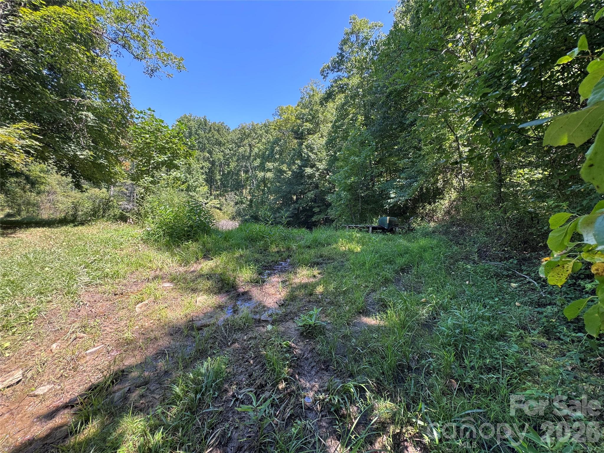 Acreage at 401 ± Upper Flat Creek Road, Weaverville, photo 32 of 44