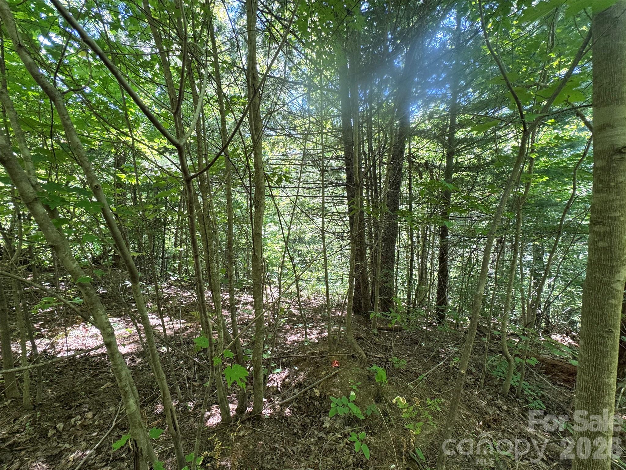 Acreage at 401 ± Upper Flat Creek Road, Weaverville, photo 34 of 44