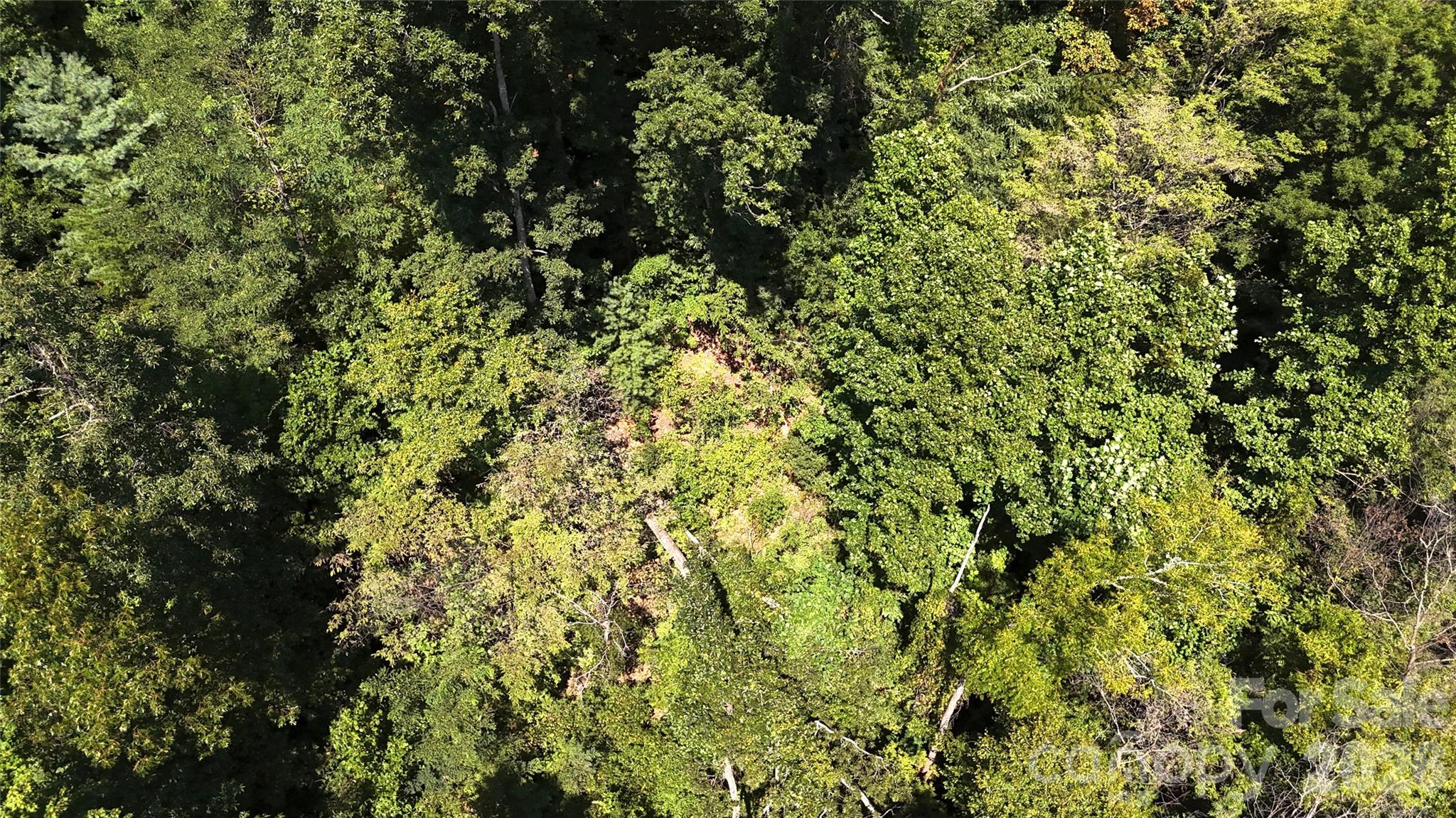 Acreage at 401 ± Upper Flat Creek Road, Weaverville, photo 39 of 44