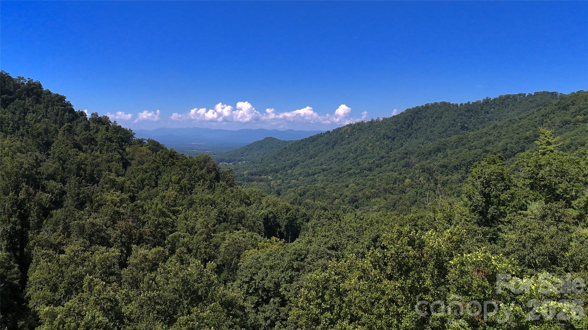 Acreage at 401 ± Upper Flat Creek Road, Weaverville, photo 43 of 44