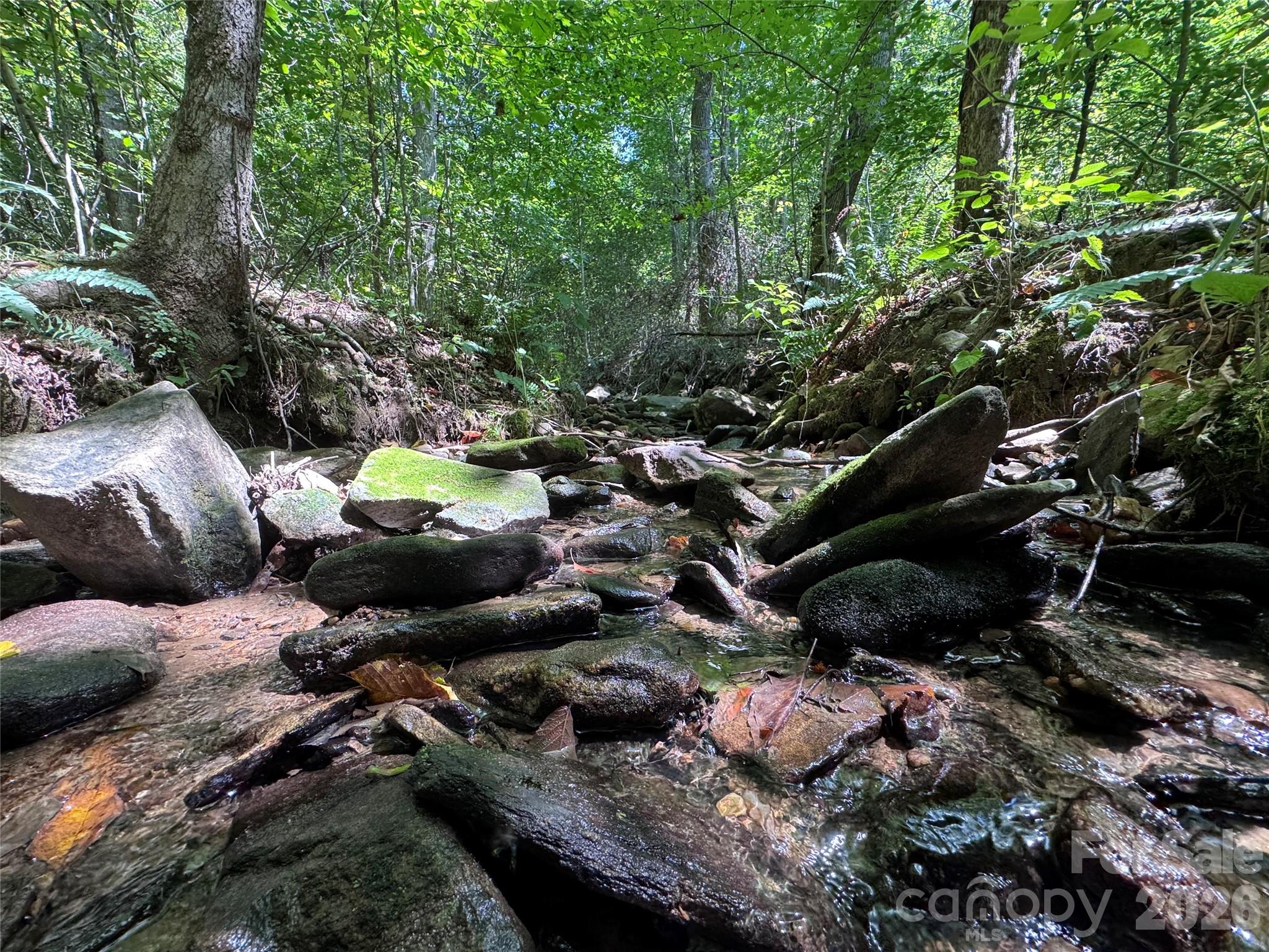 Acreage at 300 ± Acres Upper Flat Creek Road, Weaverville, photo 6 of 47